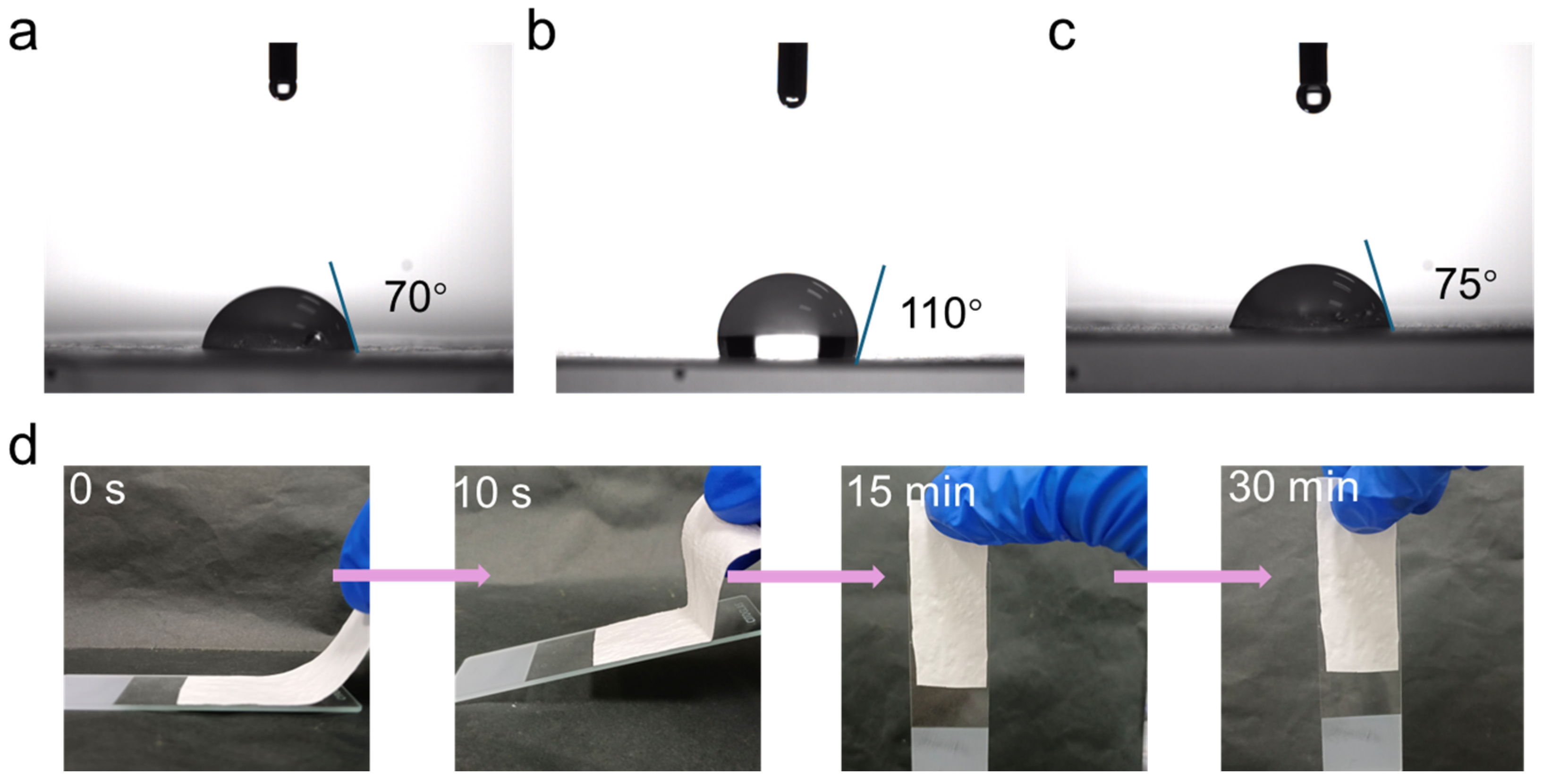 Molecules 29 05461 g006