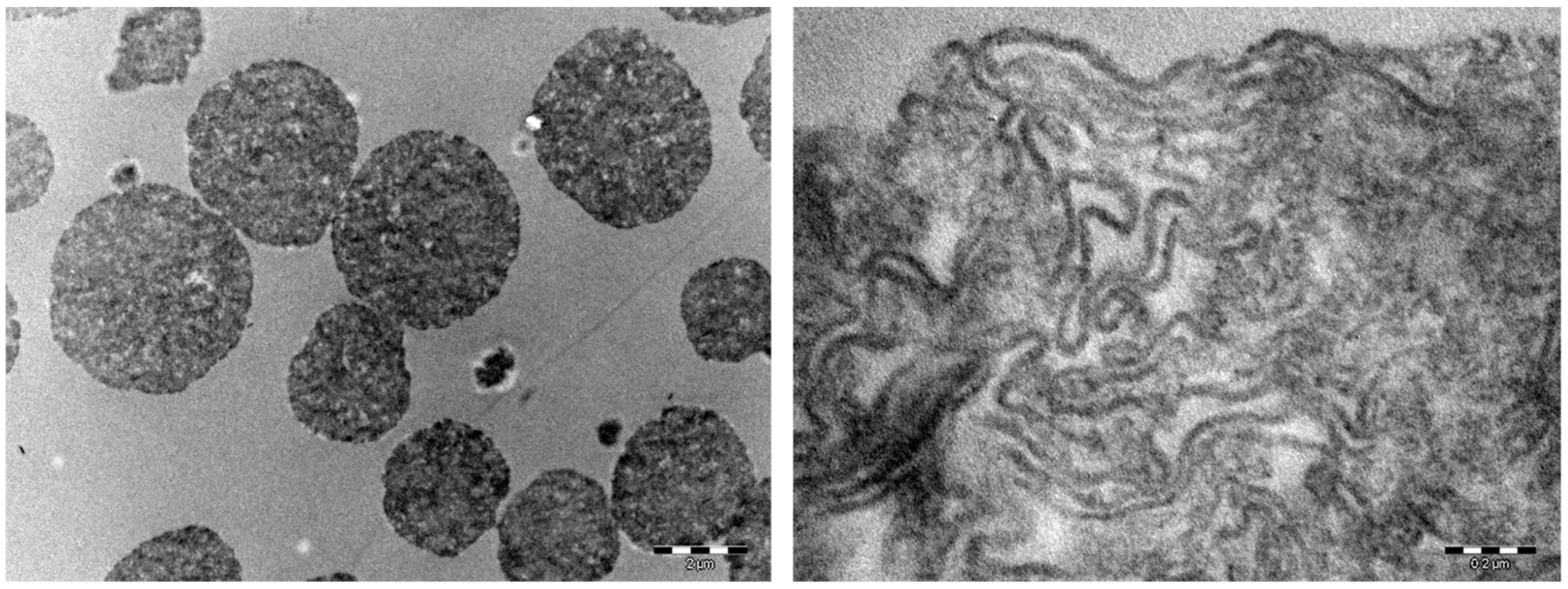 Molecules 29 05463 g003