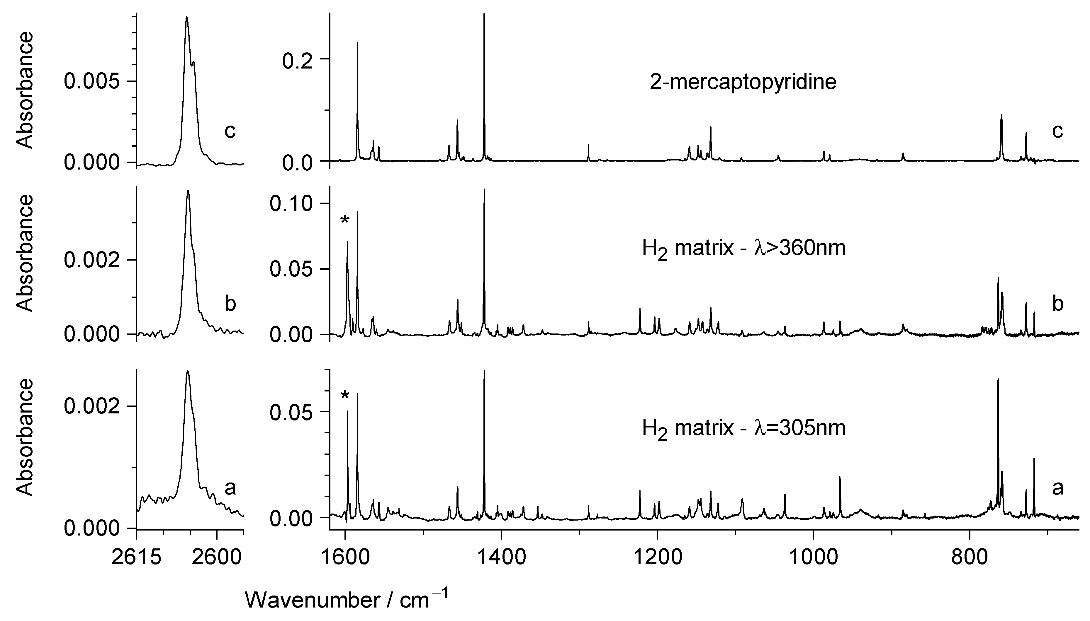 Molecules 29 05472 g003