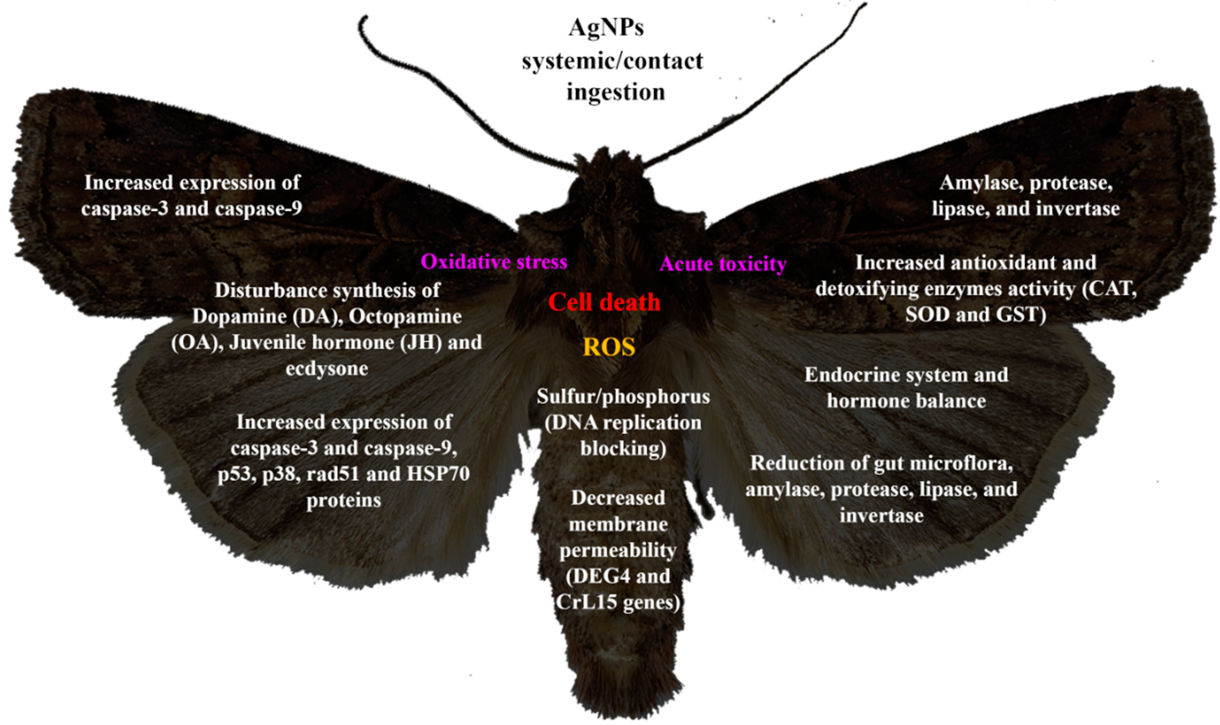 Molecules 29 05520 g001