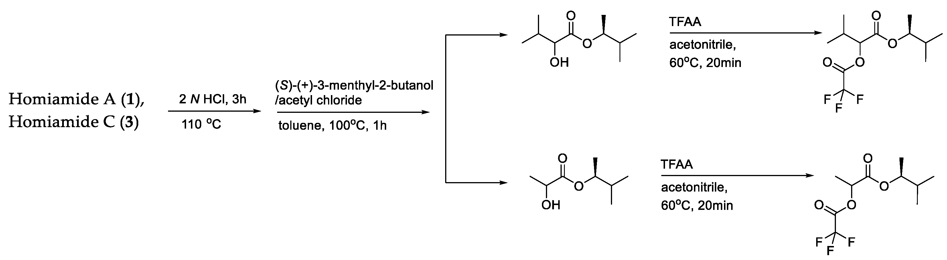 Molecules 29 05539 sch001 Molecules 29 05539 sch001