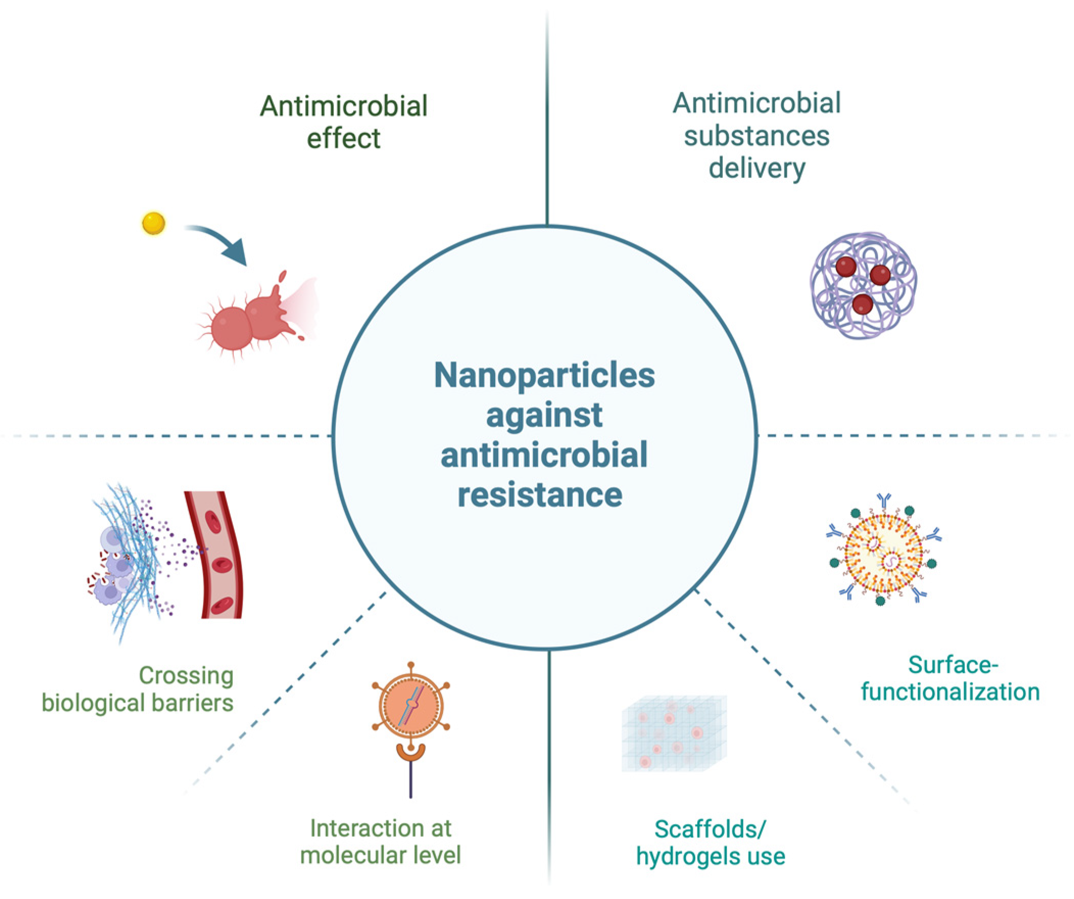 Molecules 29 05551 g001