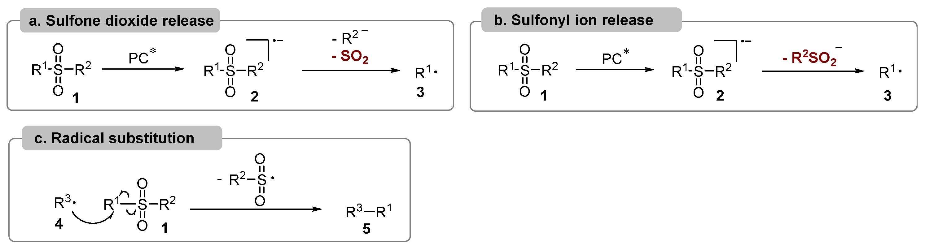 Molecules 29 05553 g001