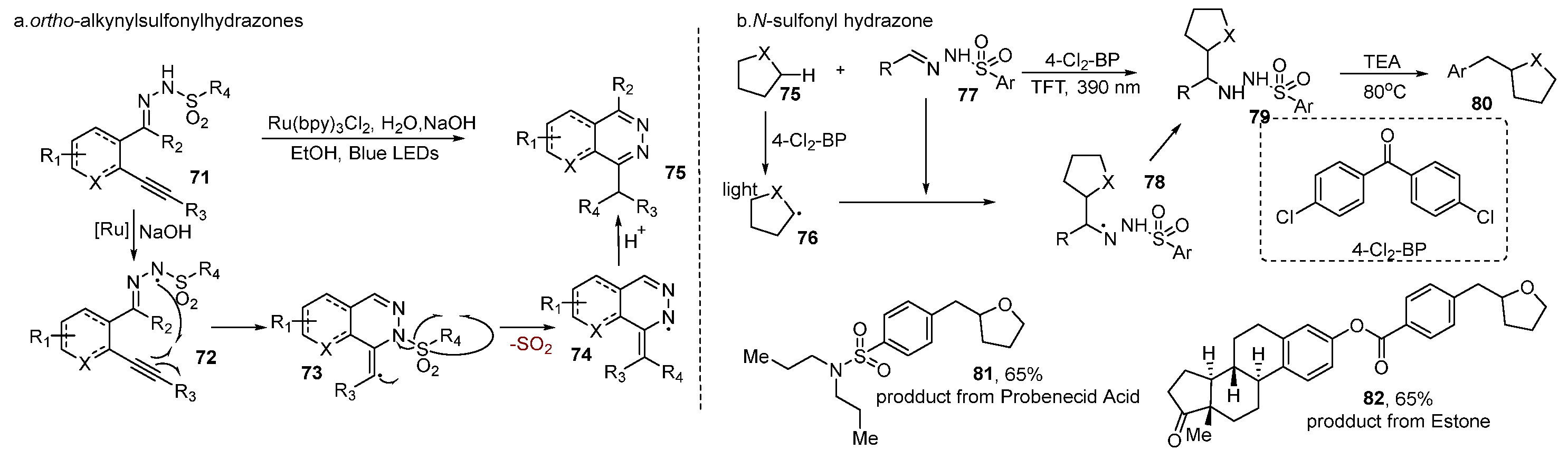Molecules 29 05553 g006
