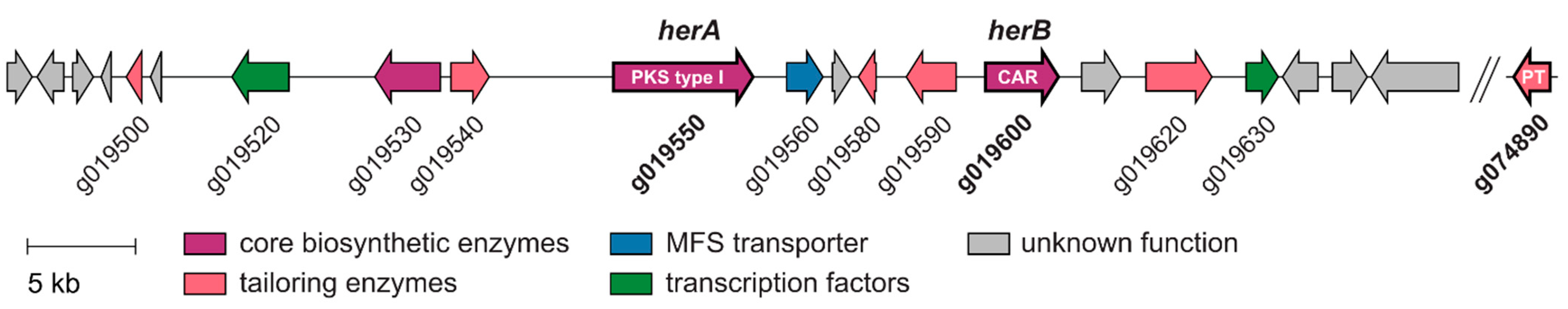 Molecules 29 05576 g002