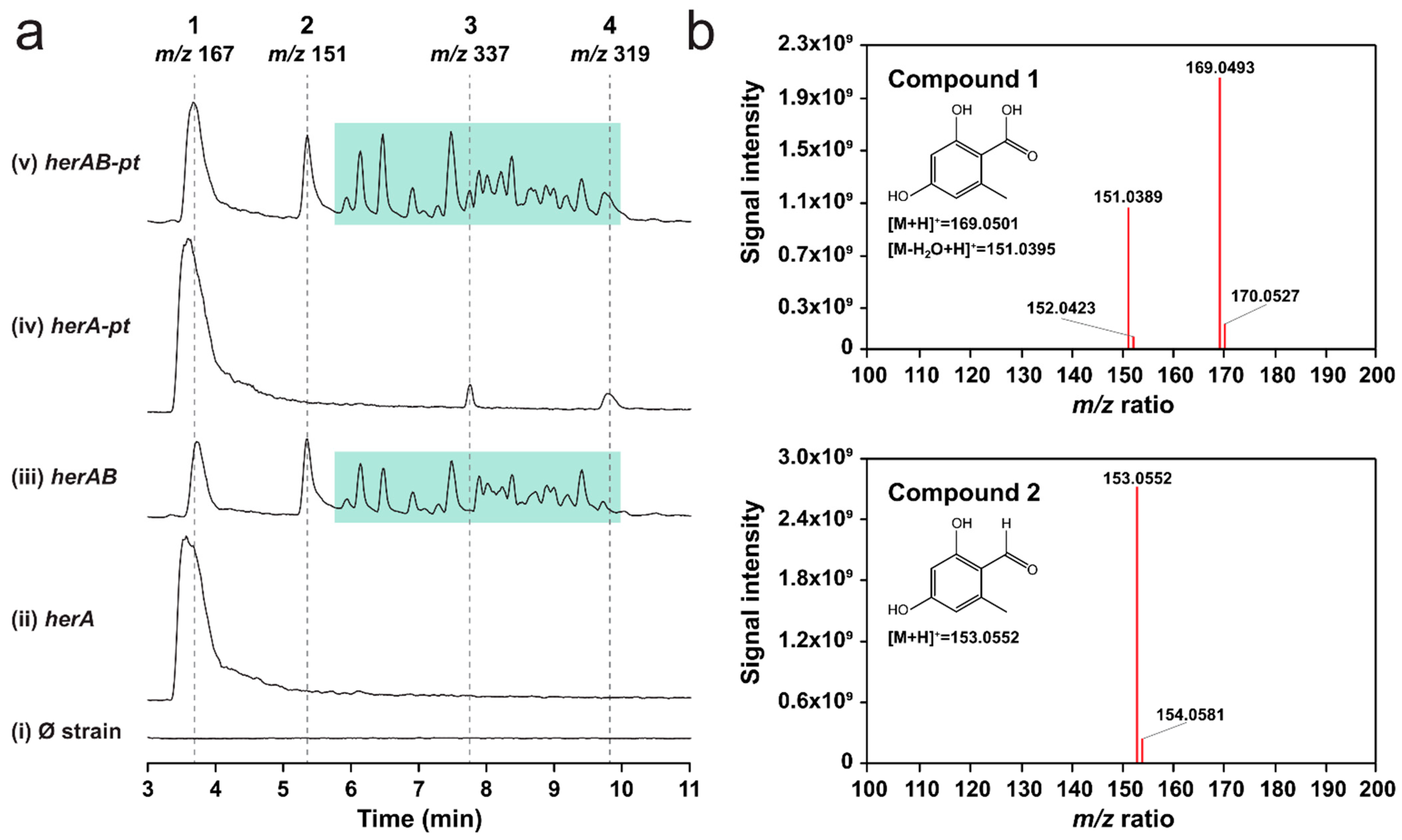 Molecules 29 05576 g003