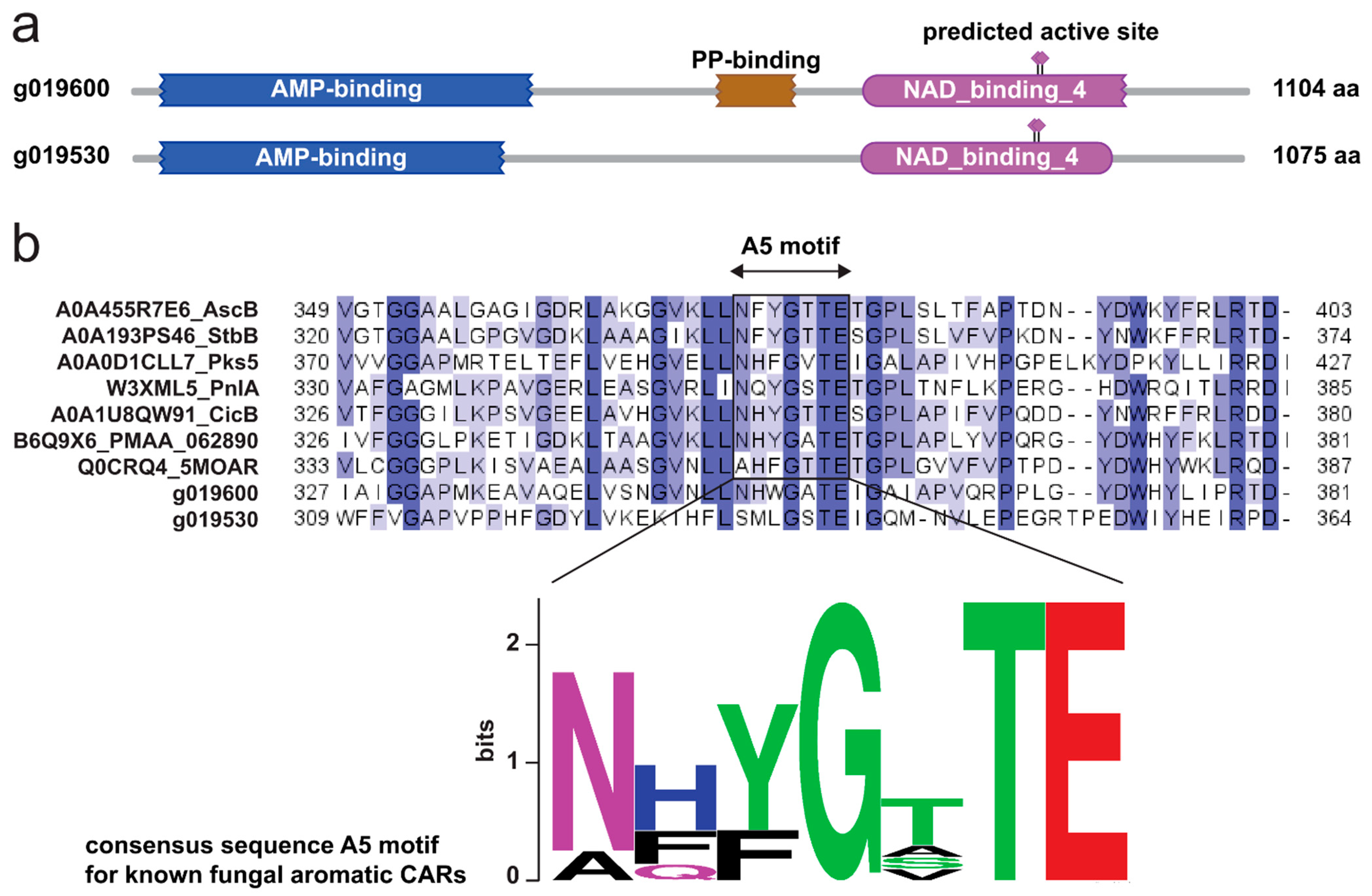 Molecules 29 05576 g004