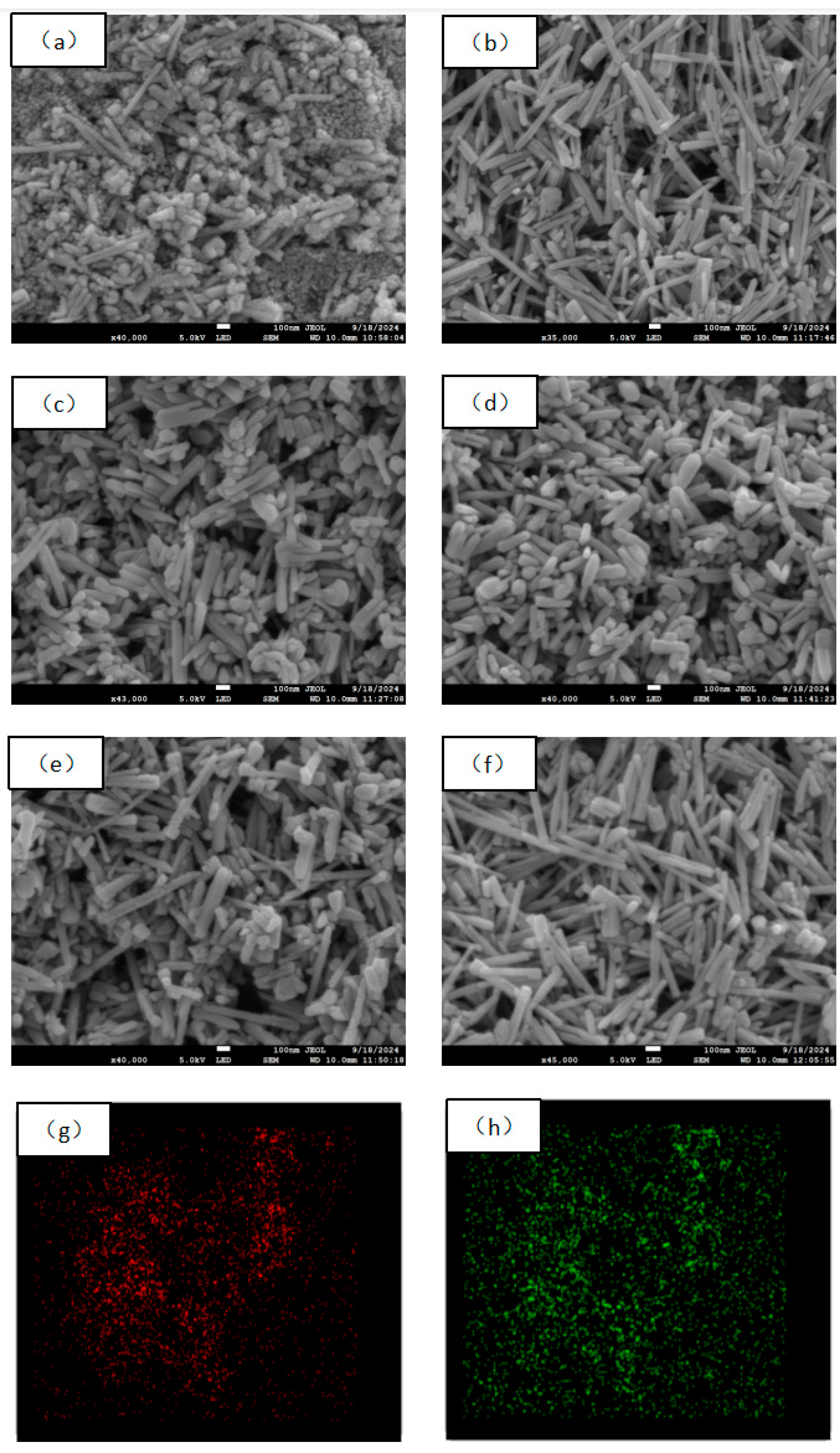 Molecules 29 05584 g002