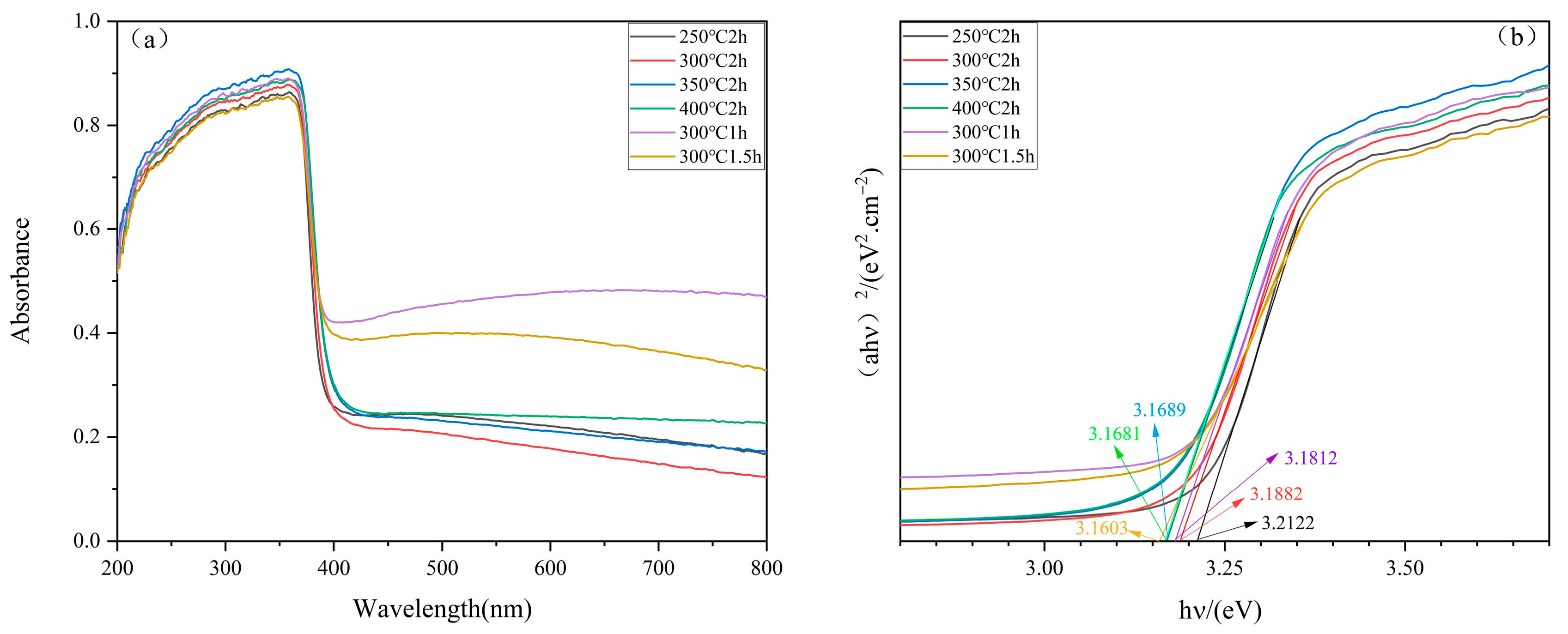 Molecules 29 05584 g004