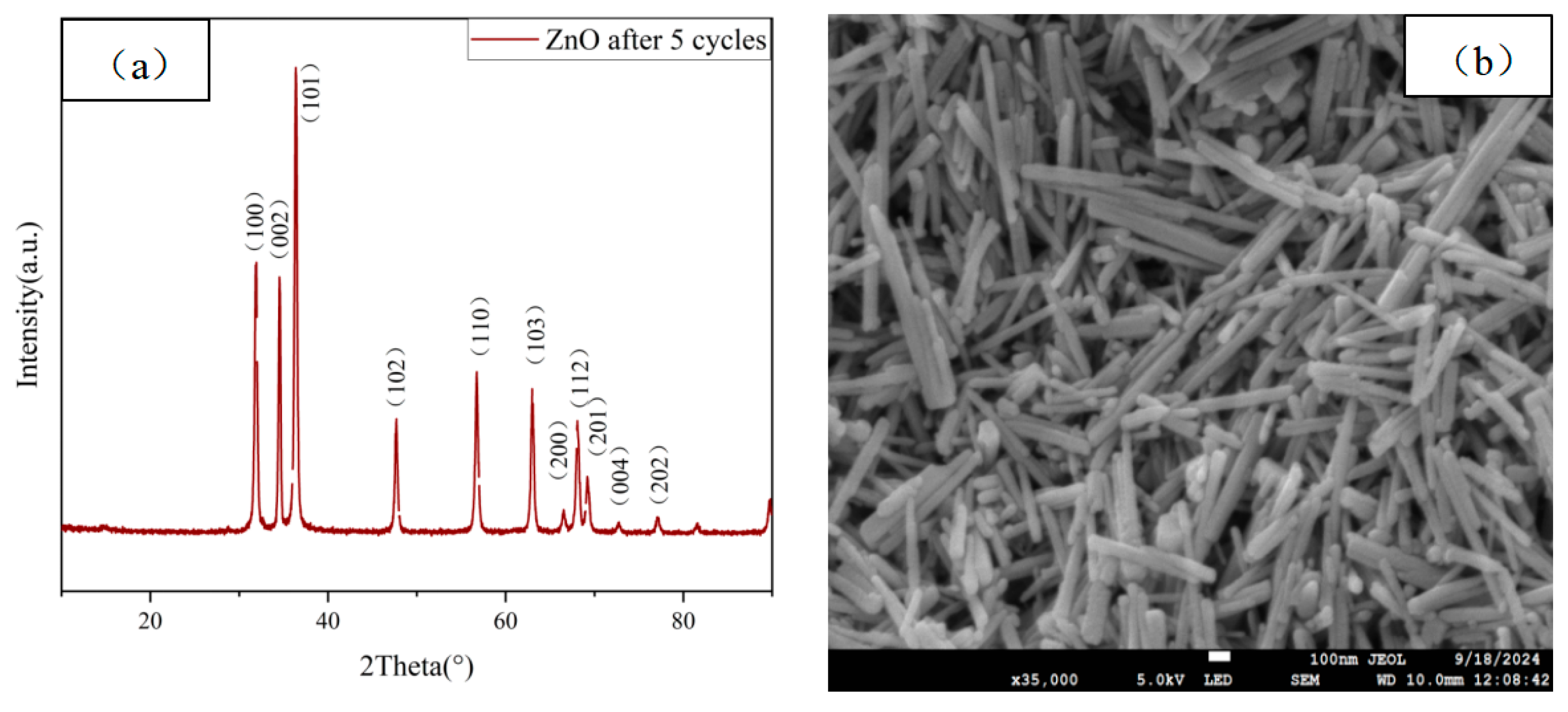 Molecules 29 05584 g012