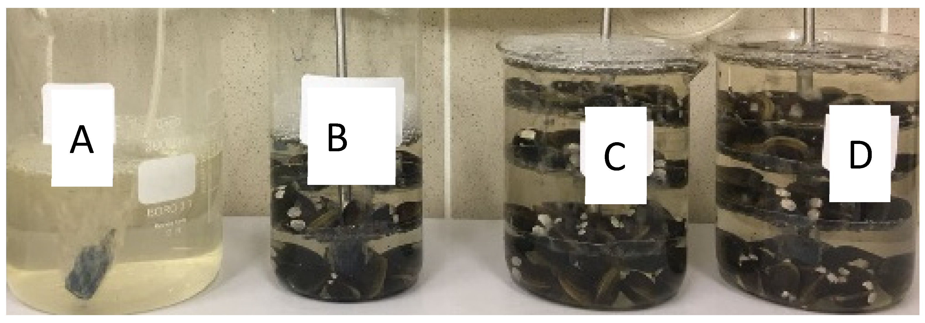 Molecules 29 05601 g002