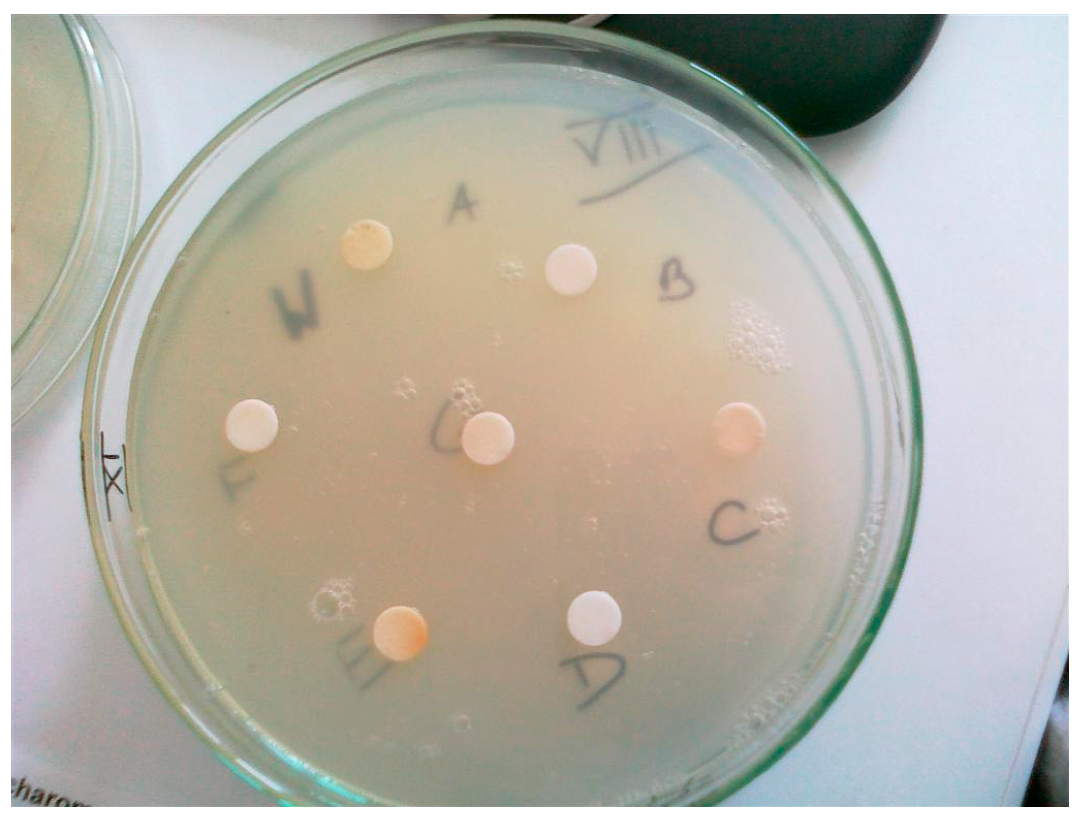 Molecules 29 05607 g003 Molecules 29 05607 g003