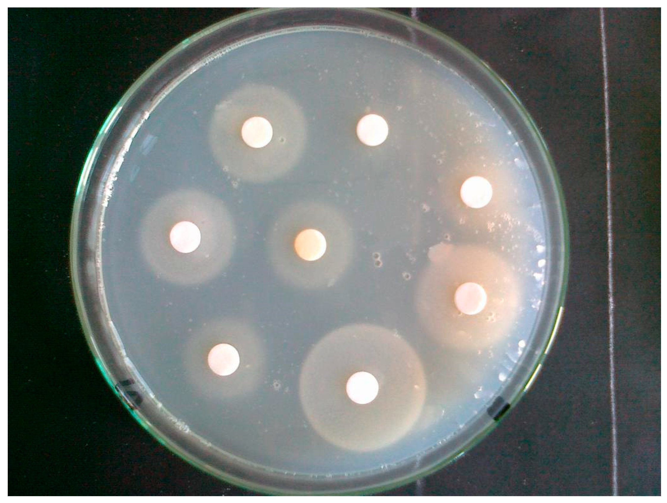 Molecules 29 05607 g004 Molecules 29 05607 g004