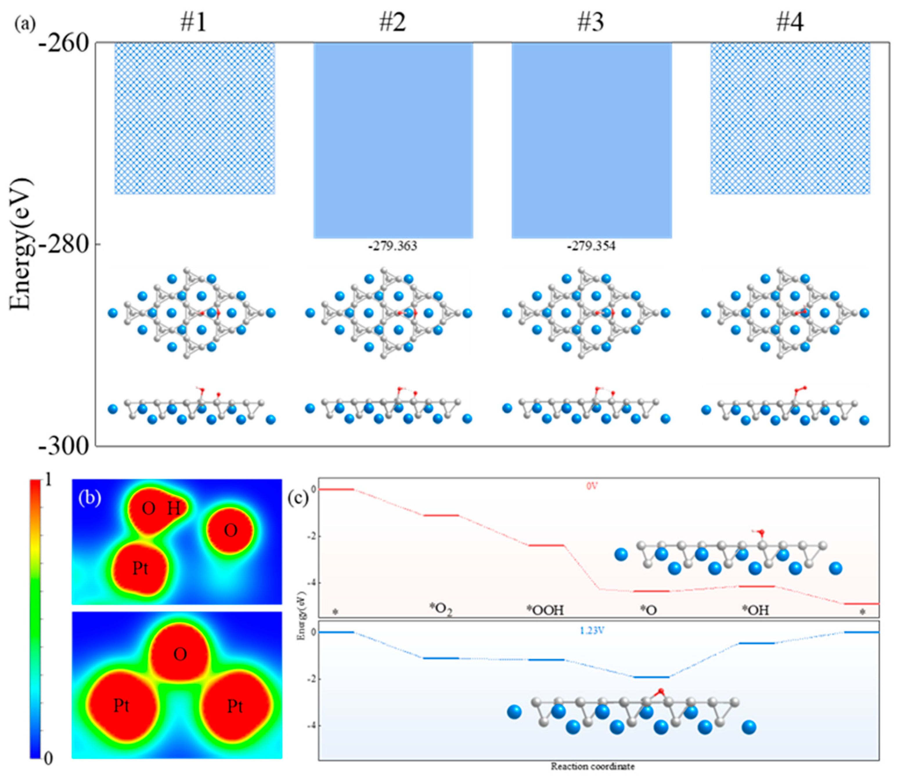 Molecules 29 05634 g005