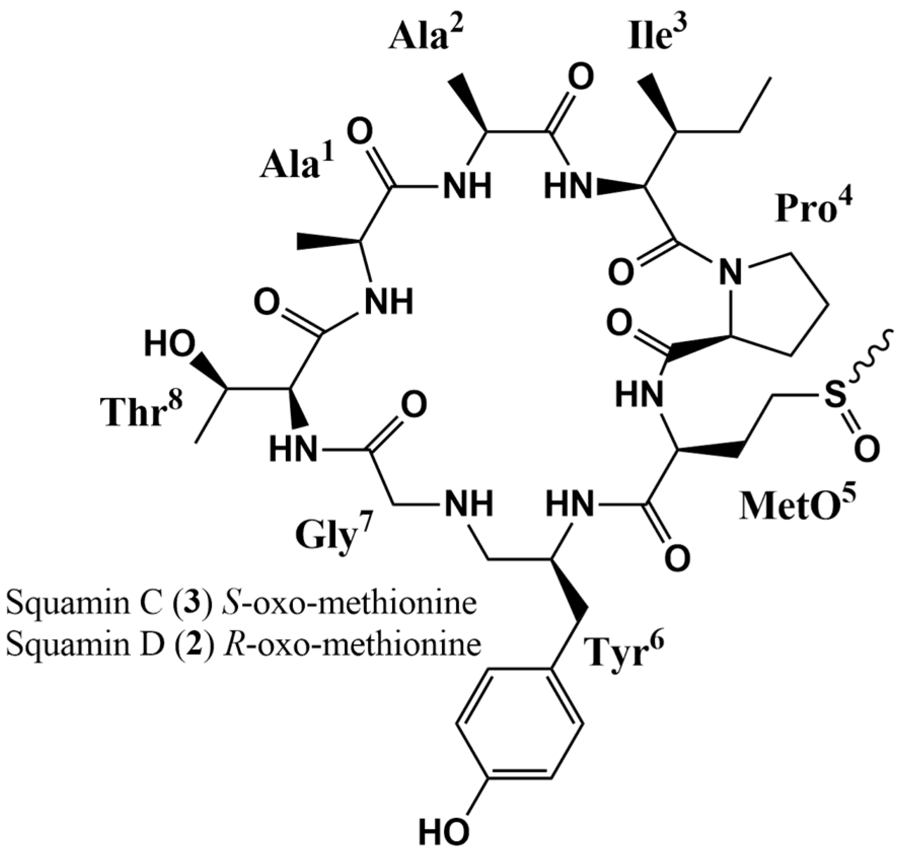 Molecules 29 05636 g002