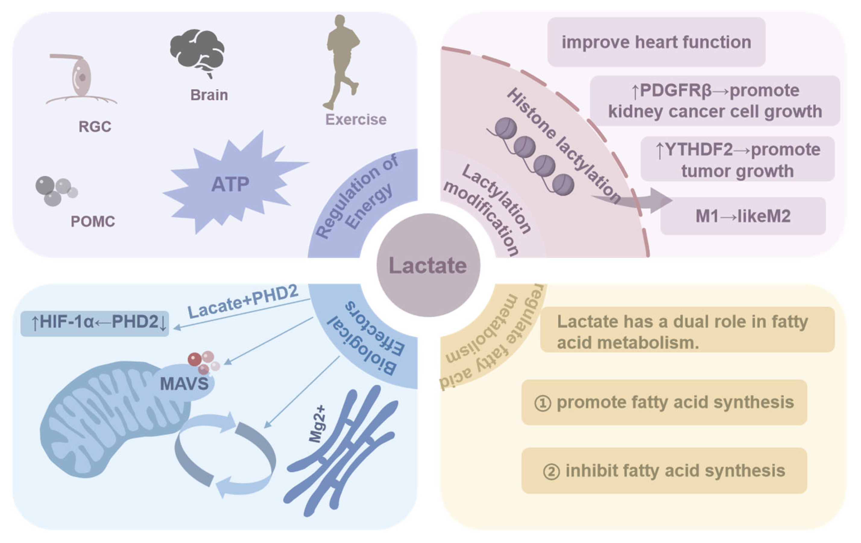 Molecules 29 05656 g002 Molecules 29 05656 g002