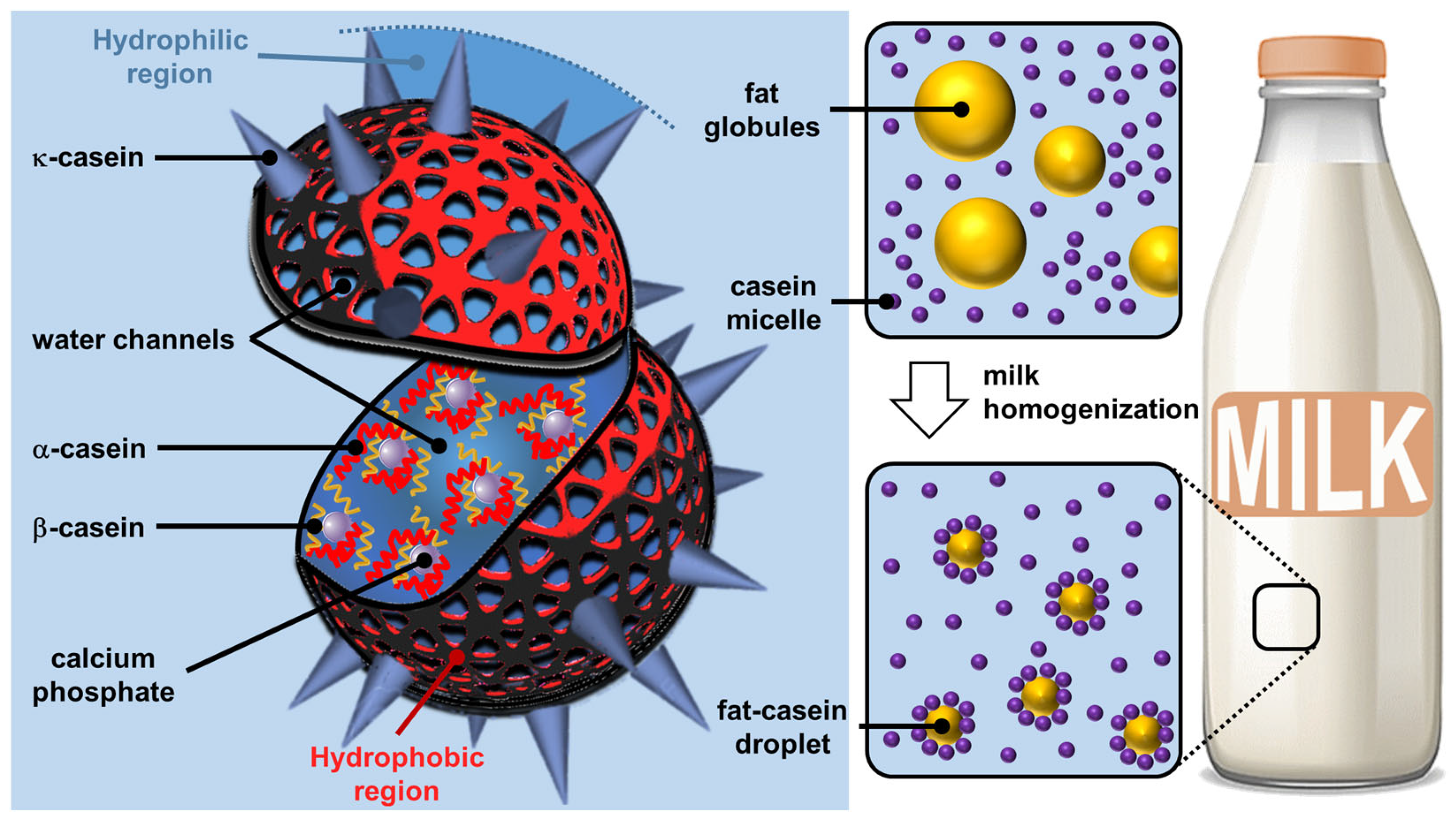 Molecules 29 05657 g002