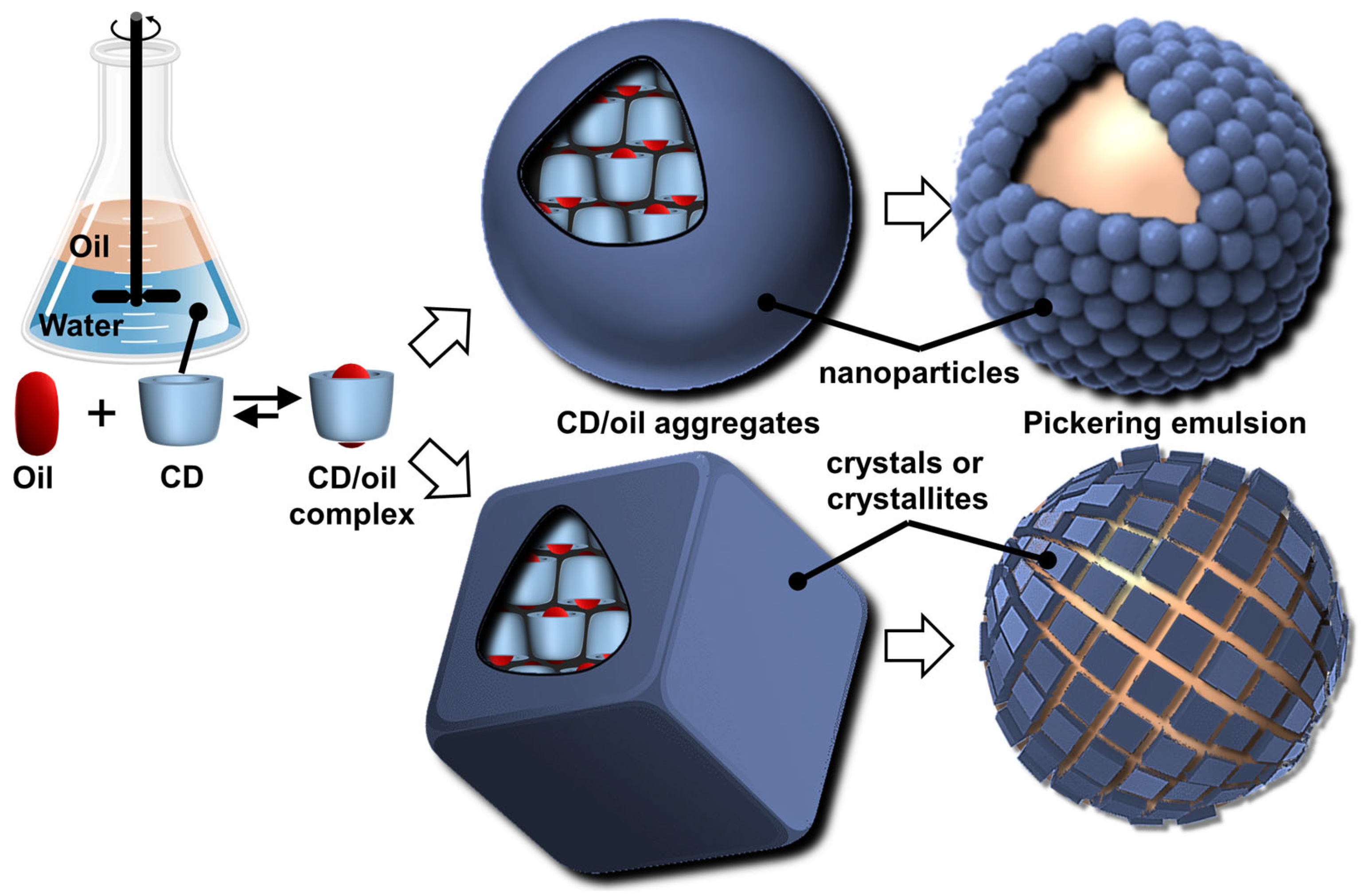 Molecules 29 05657 g013