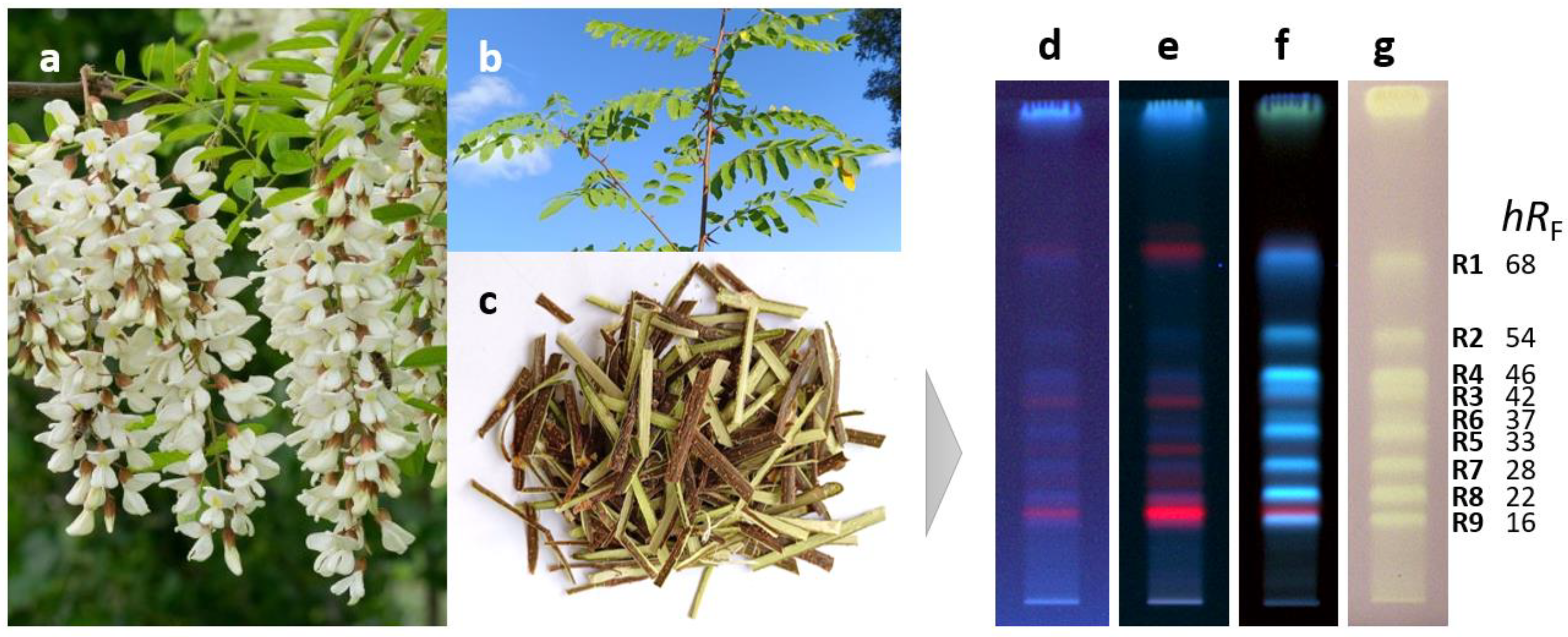 Molecules 29 05673 g001 Molecules 29 05673 g001