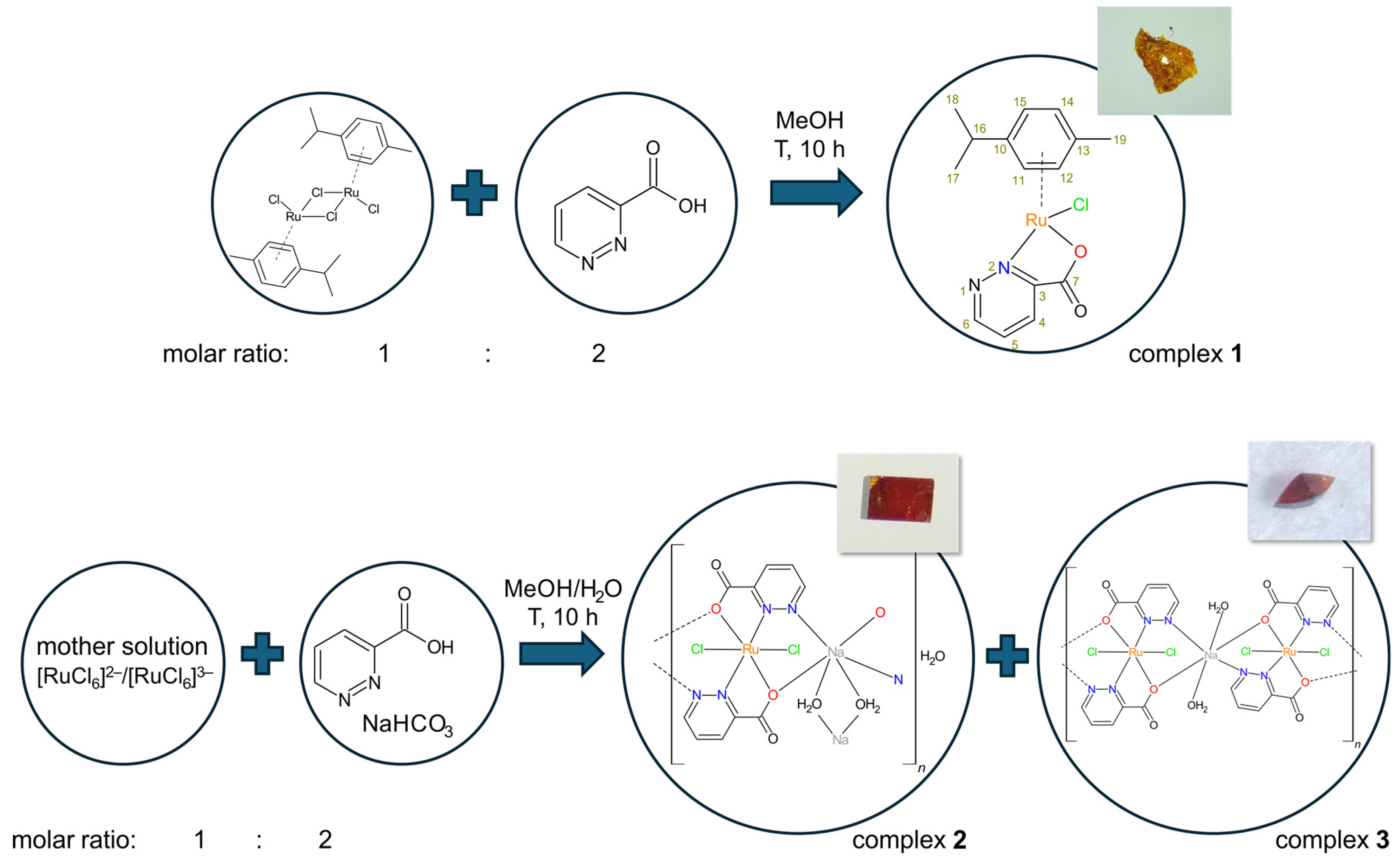 Molecules 29 05694 g001