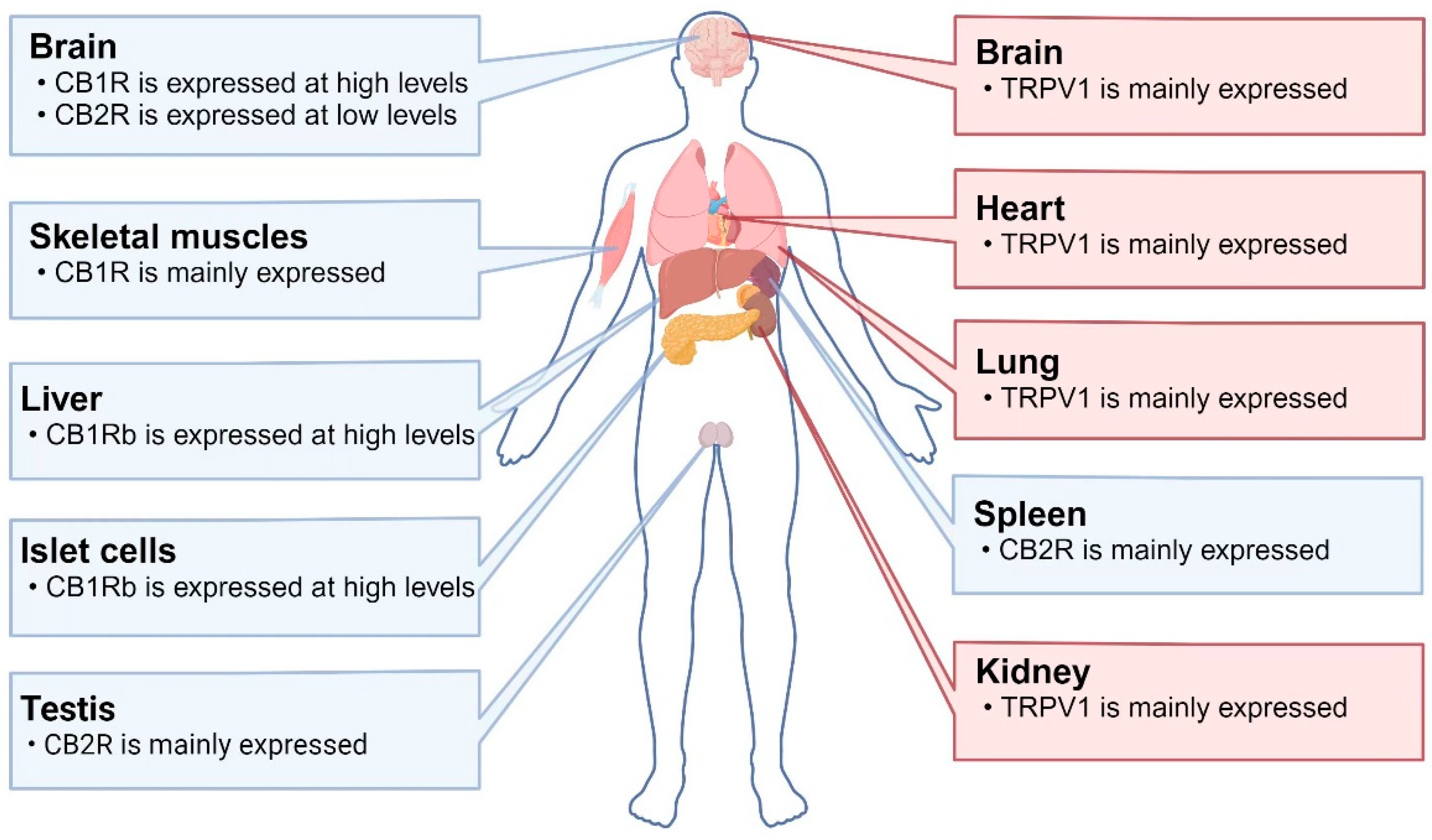 Molecules 29 05700 g001