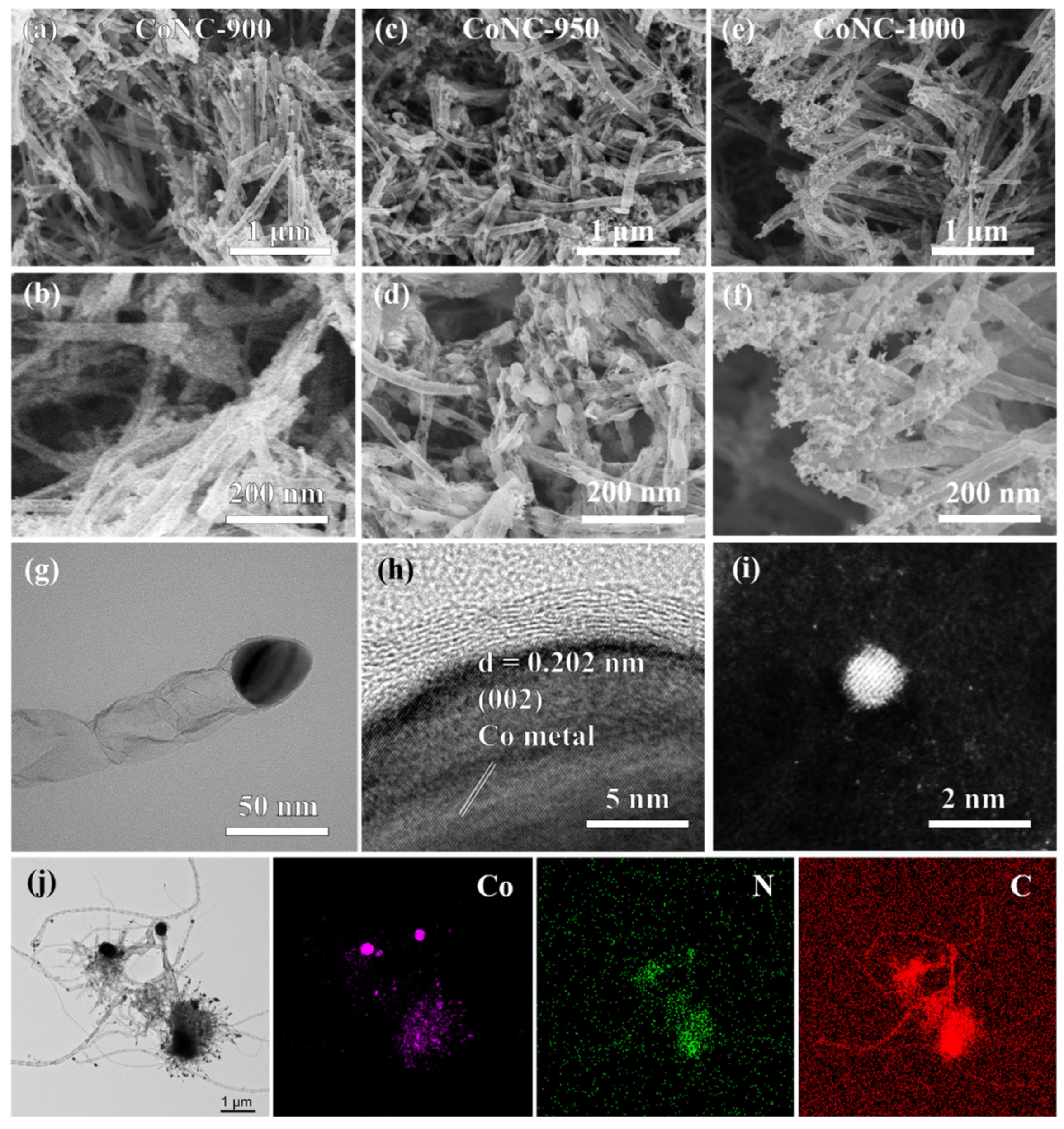 Molecules 29 05721 g002
