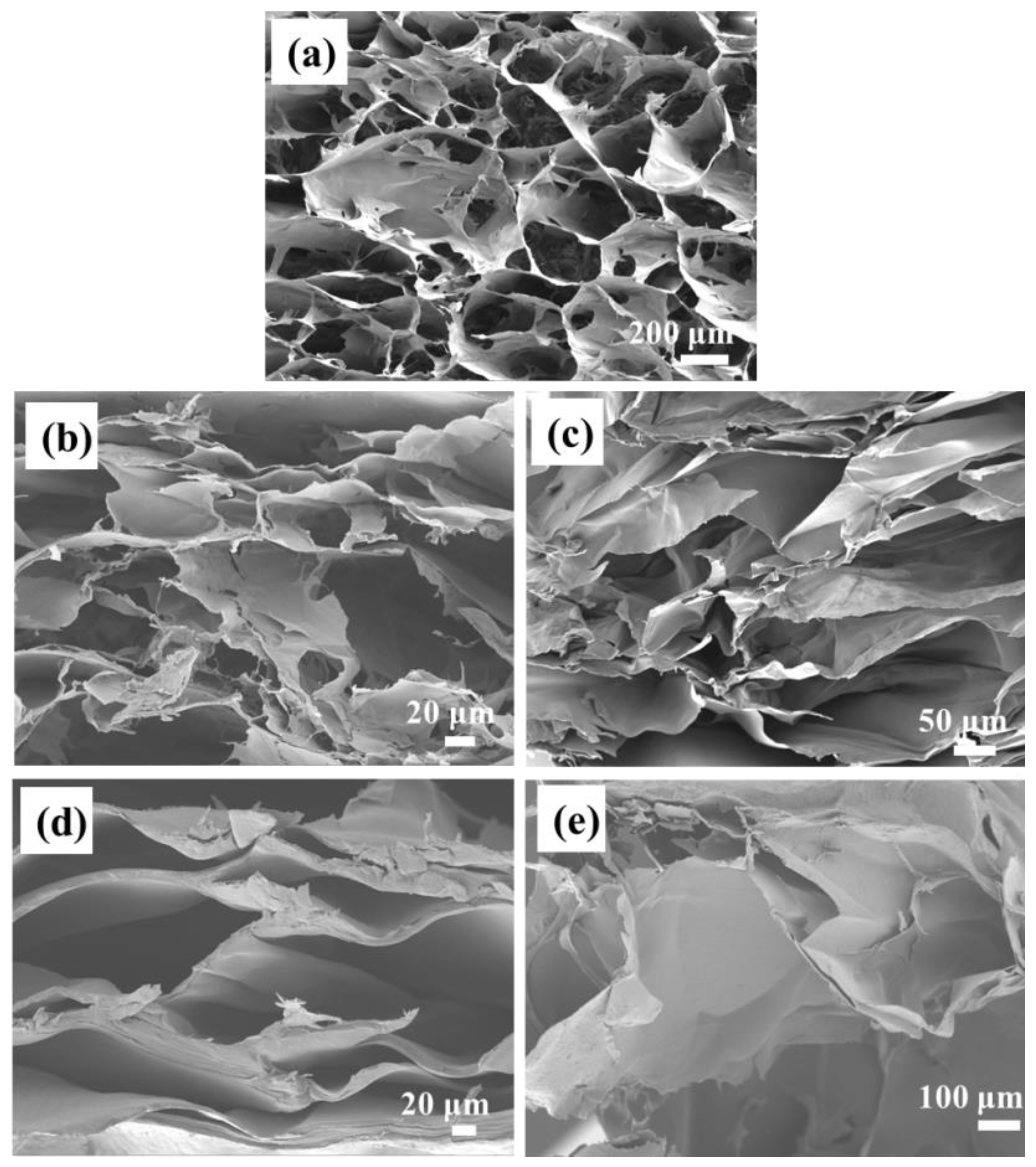 Molecules 29 05728 g001