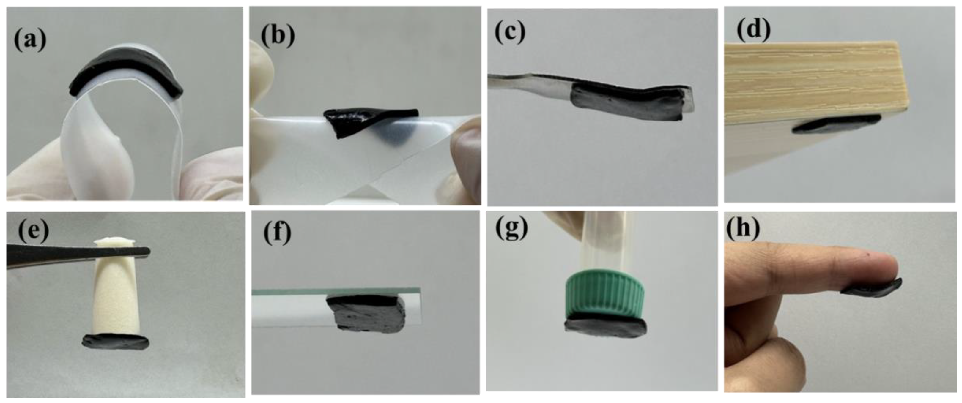 Molecules 29 05728 g003