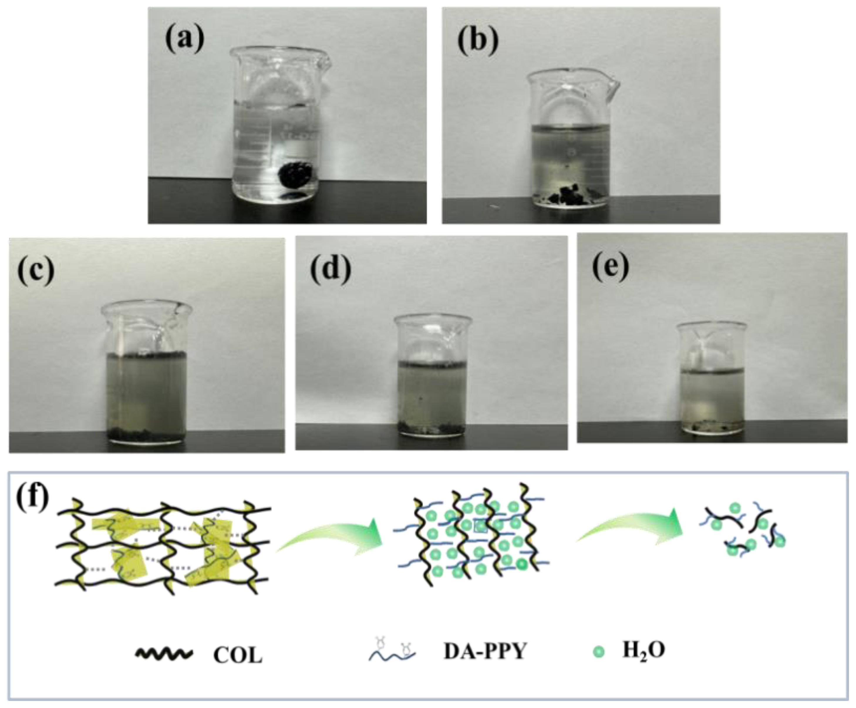 Molecules 29 05728 g005
