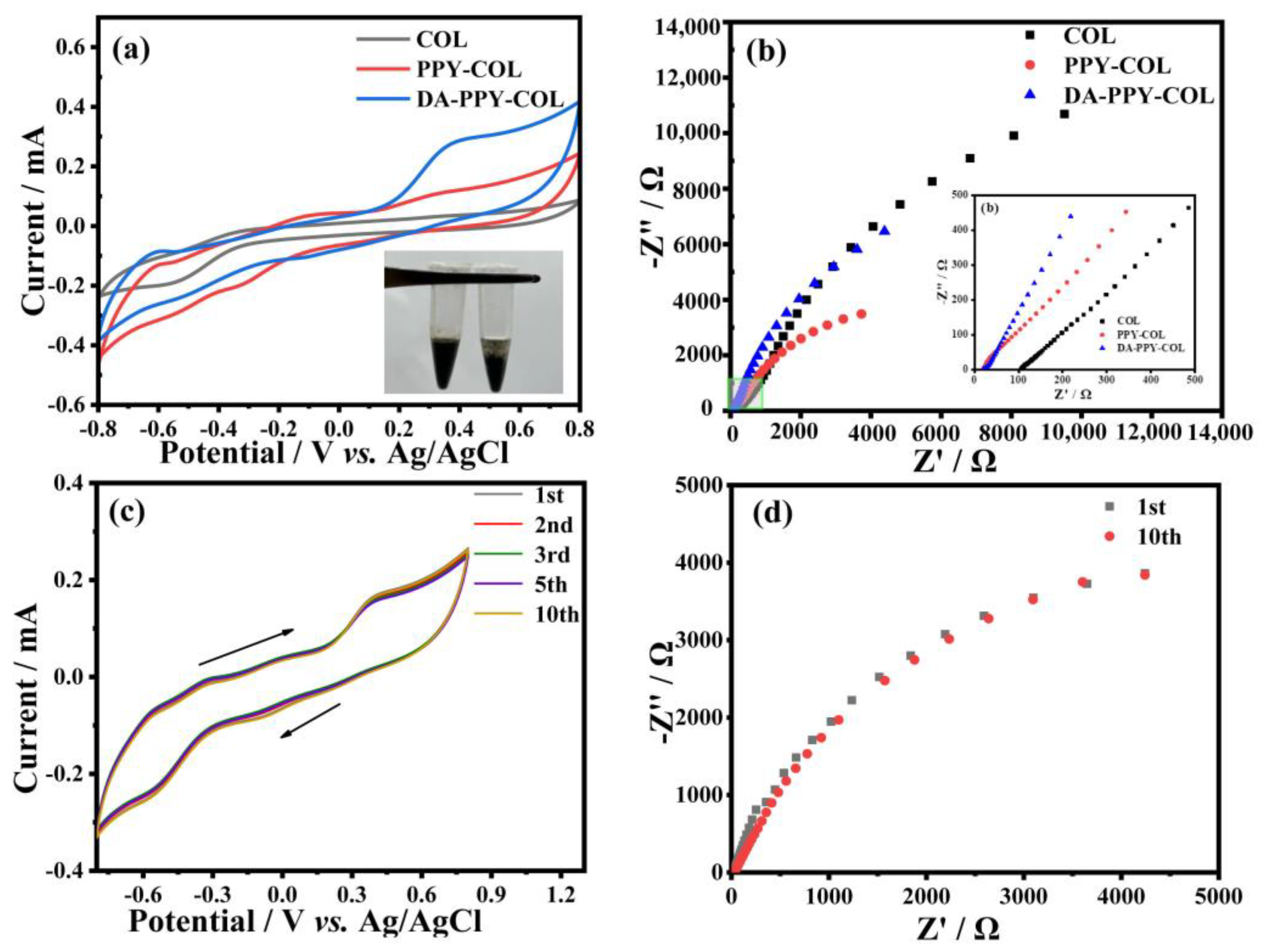 Molecules 29 05728 g006