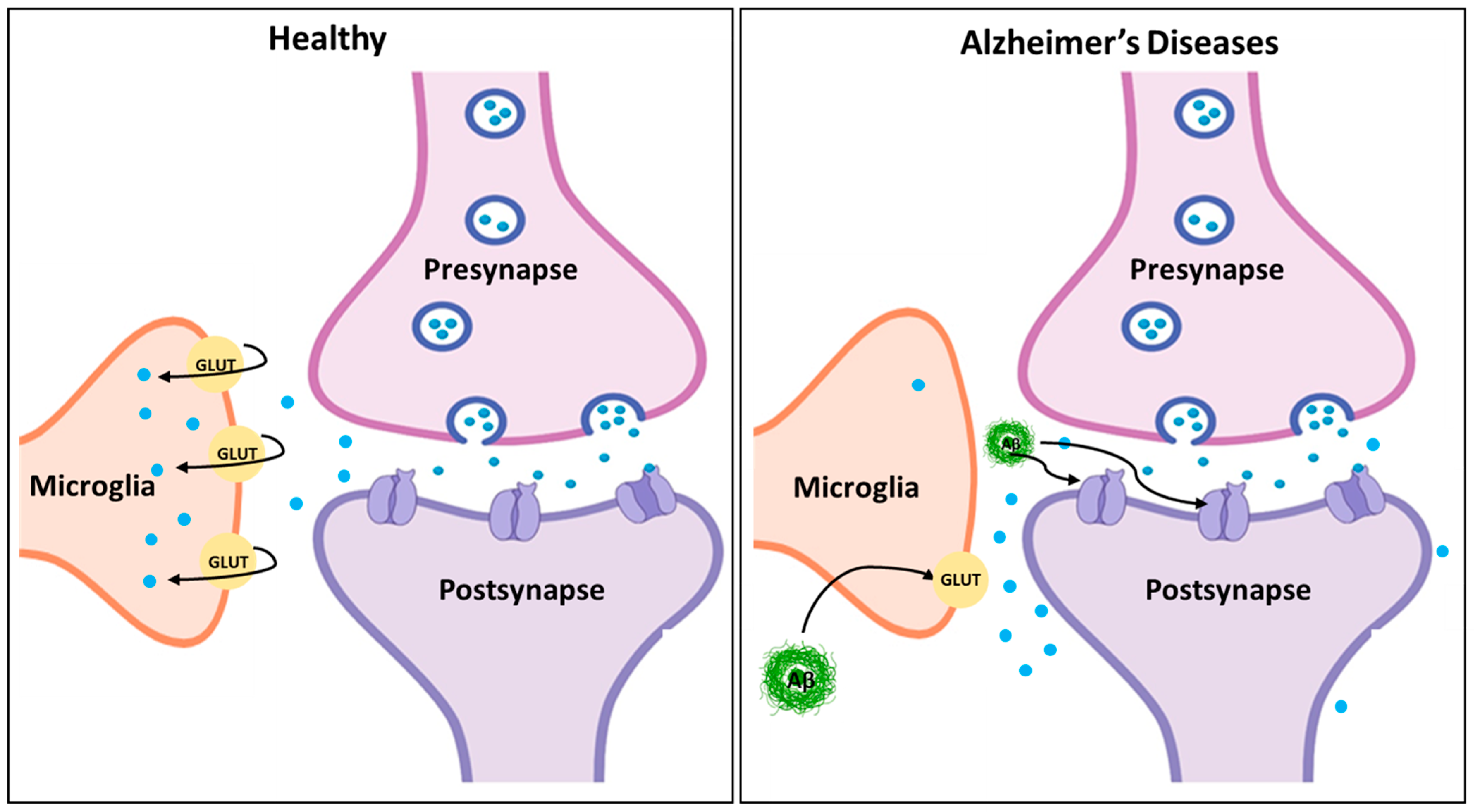 Molecules 29 05744 g006