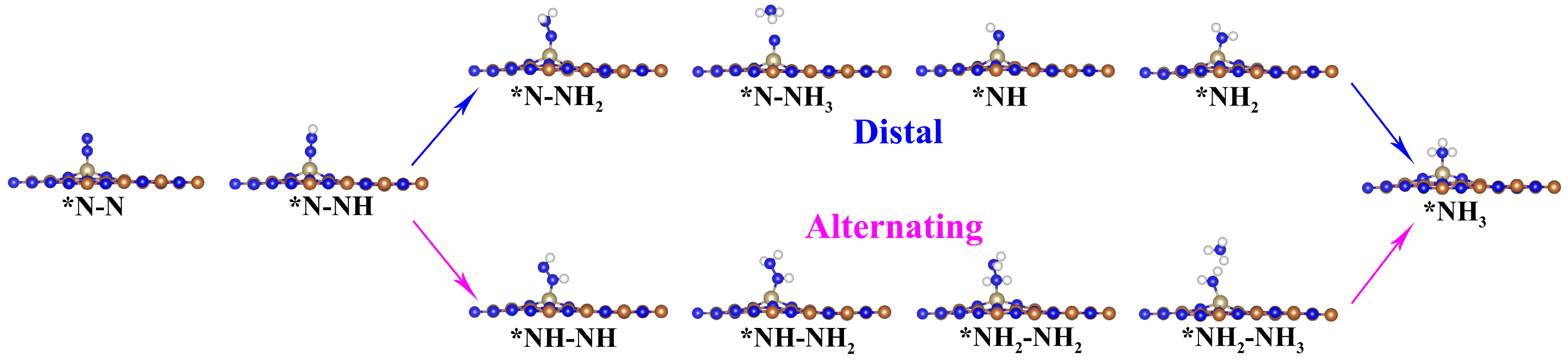 Molecules 29 05768 g003