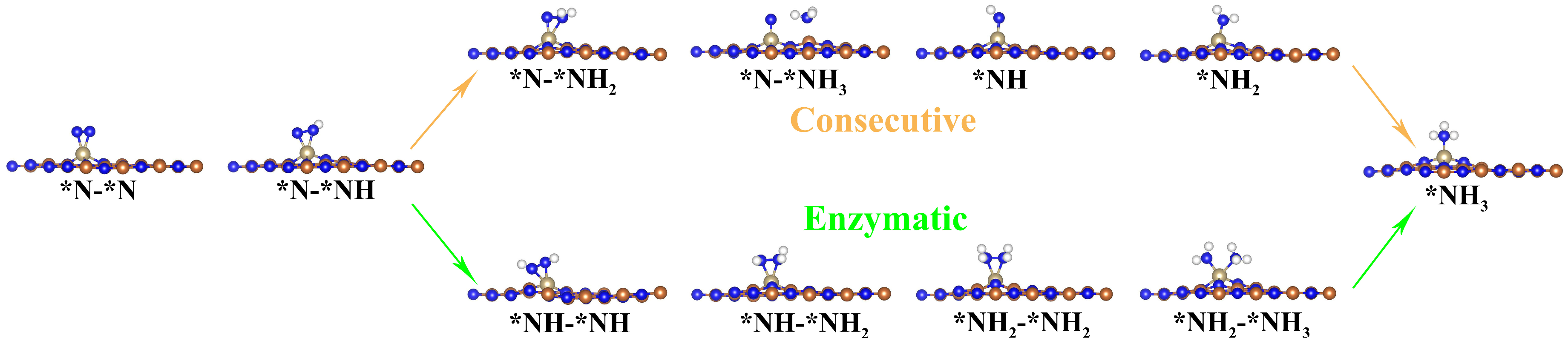 Molecules 29 05768 g004