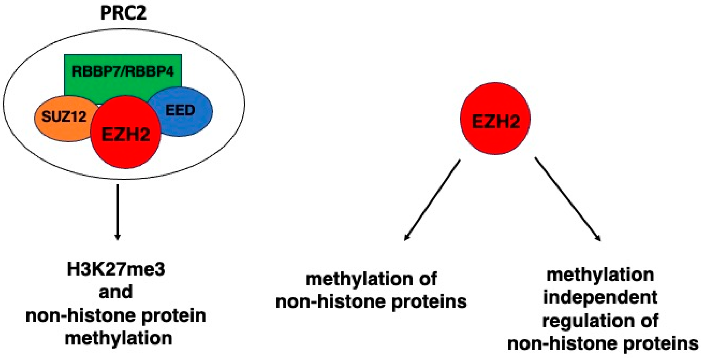 Molecules 29 05817 g001