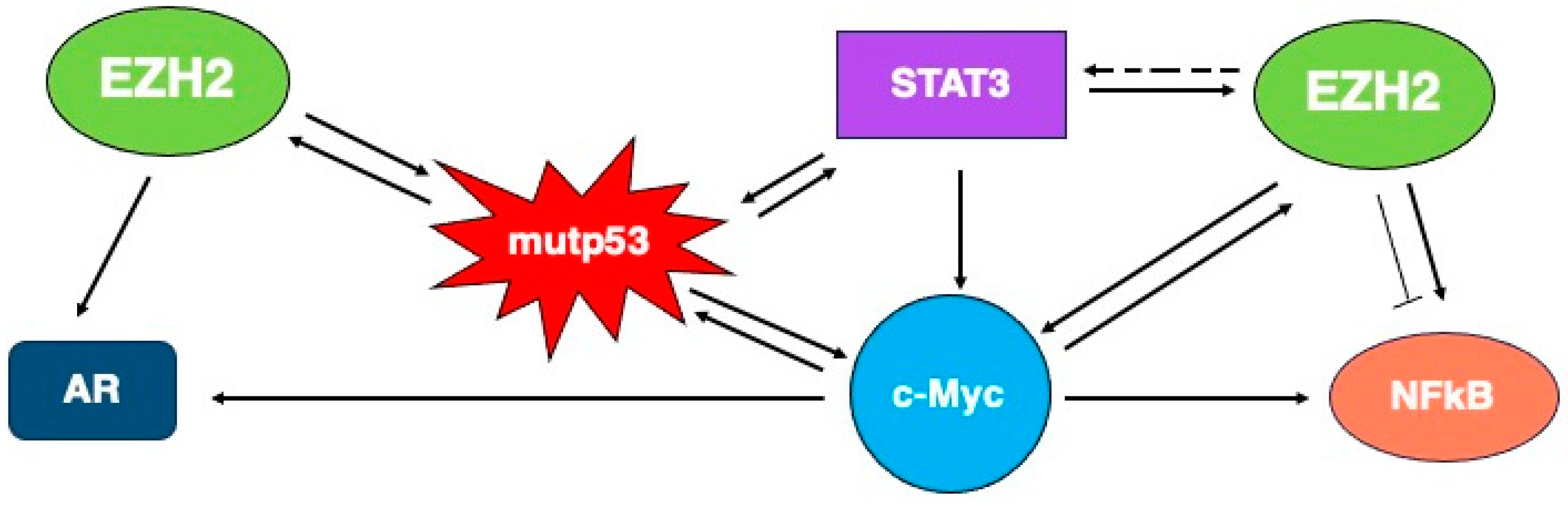 Molecules 29 05817 g007