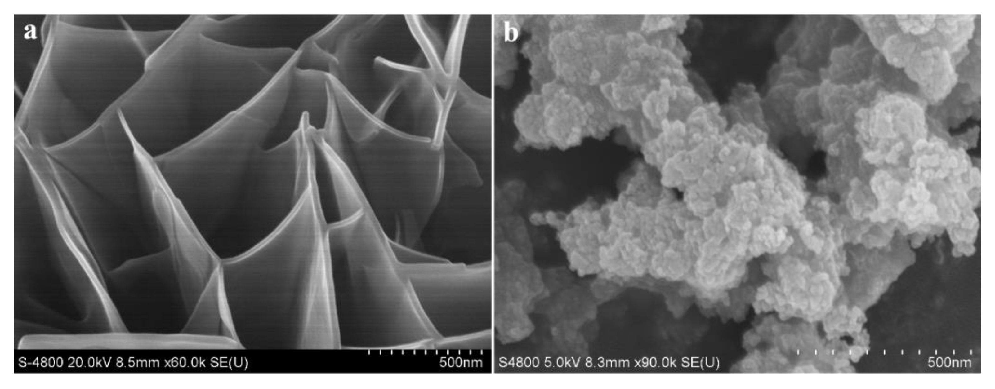 Molecules 29 05845 g003