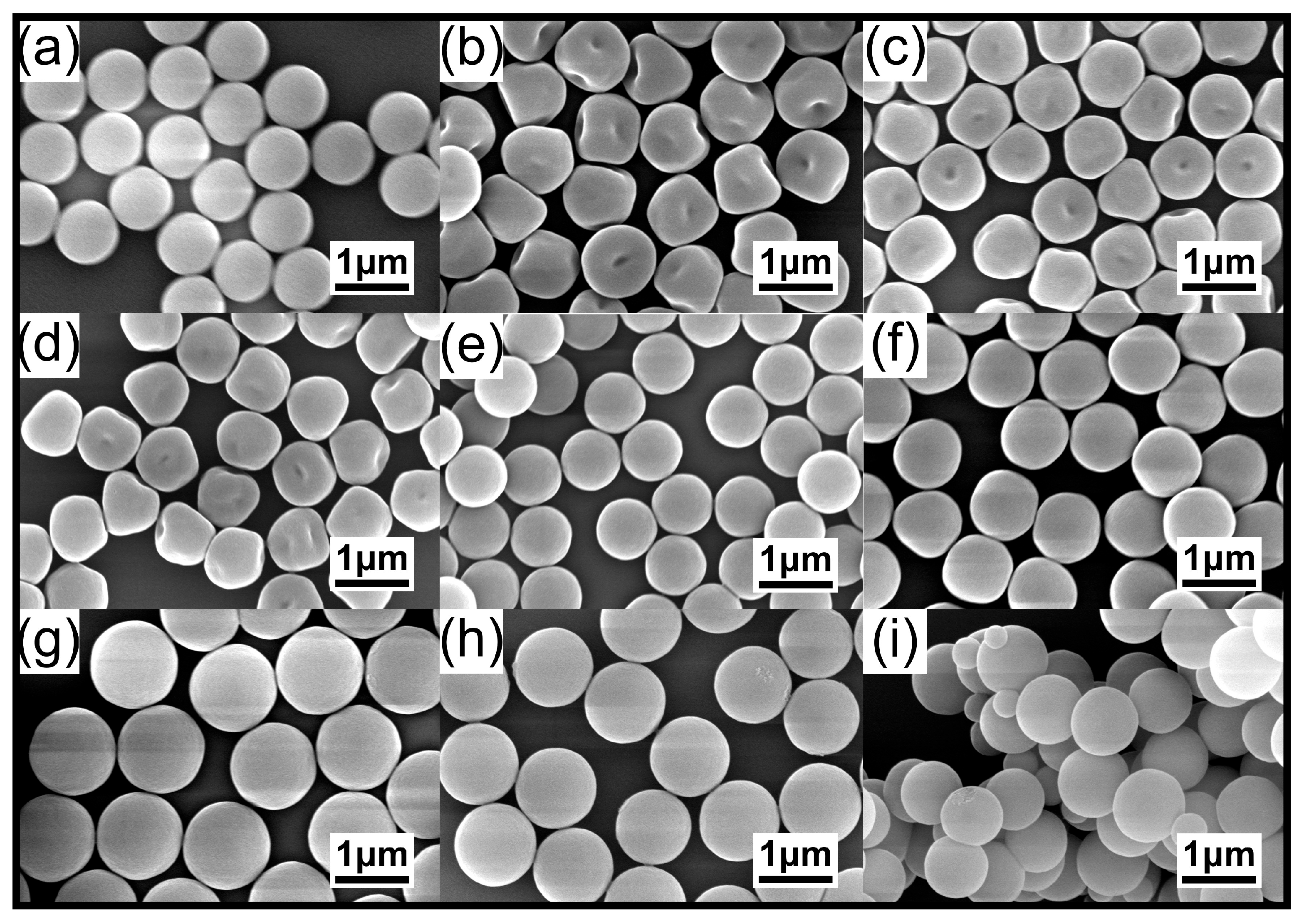 Molecules 29 05852 g002