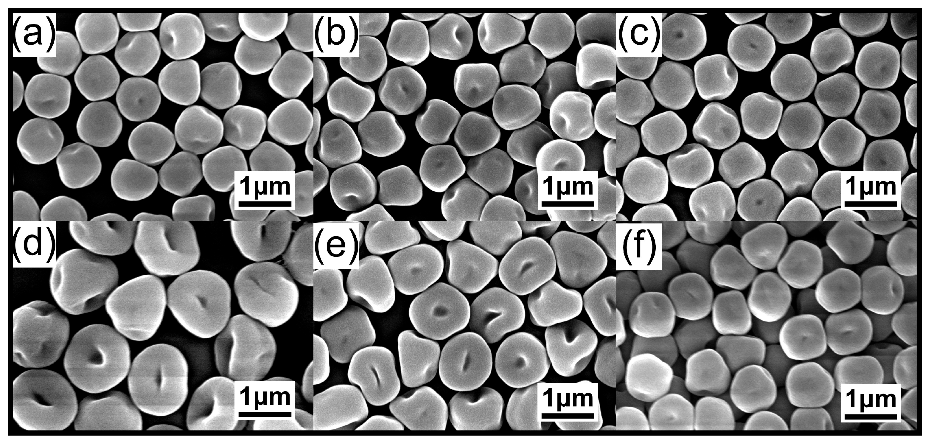 Molecules 29 05852 g003