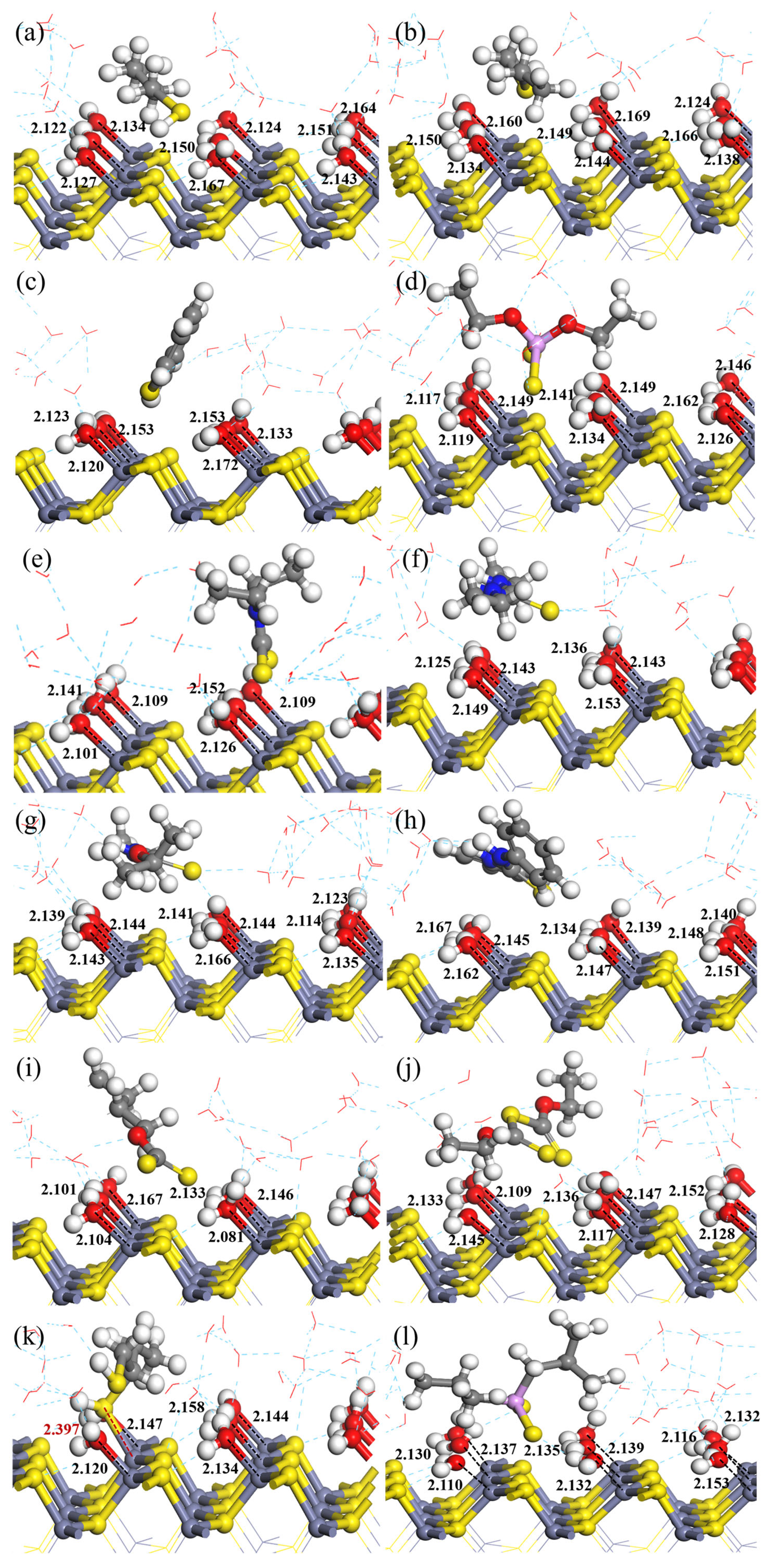 Molecules 29 05882 g001
