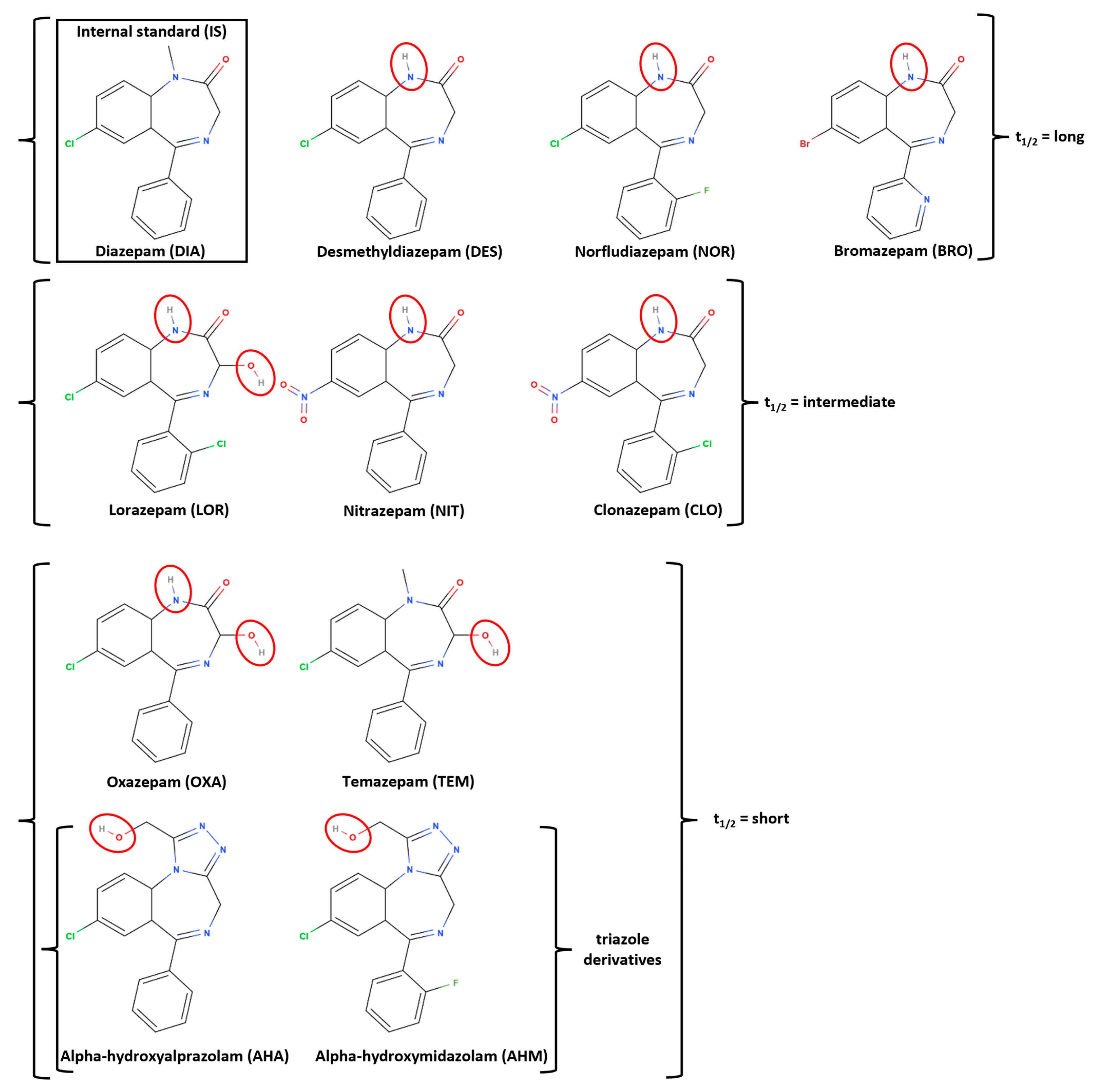 Molecules 29 05884 g001