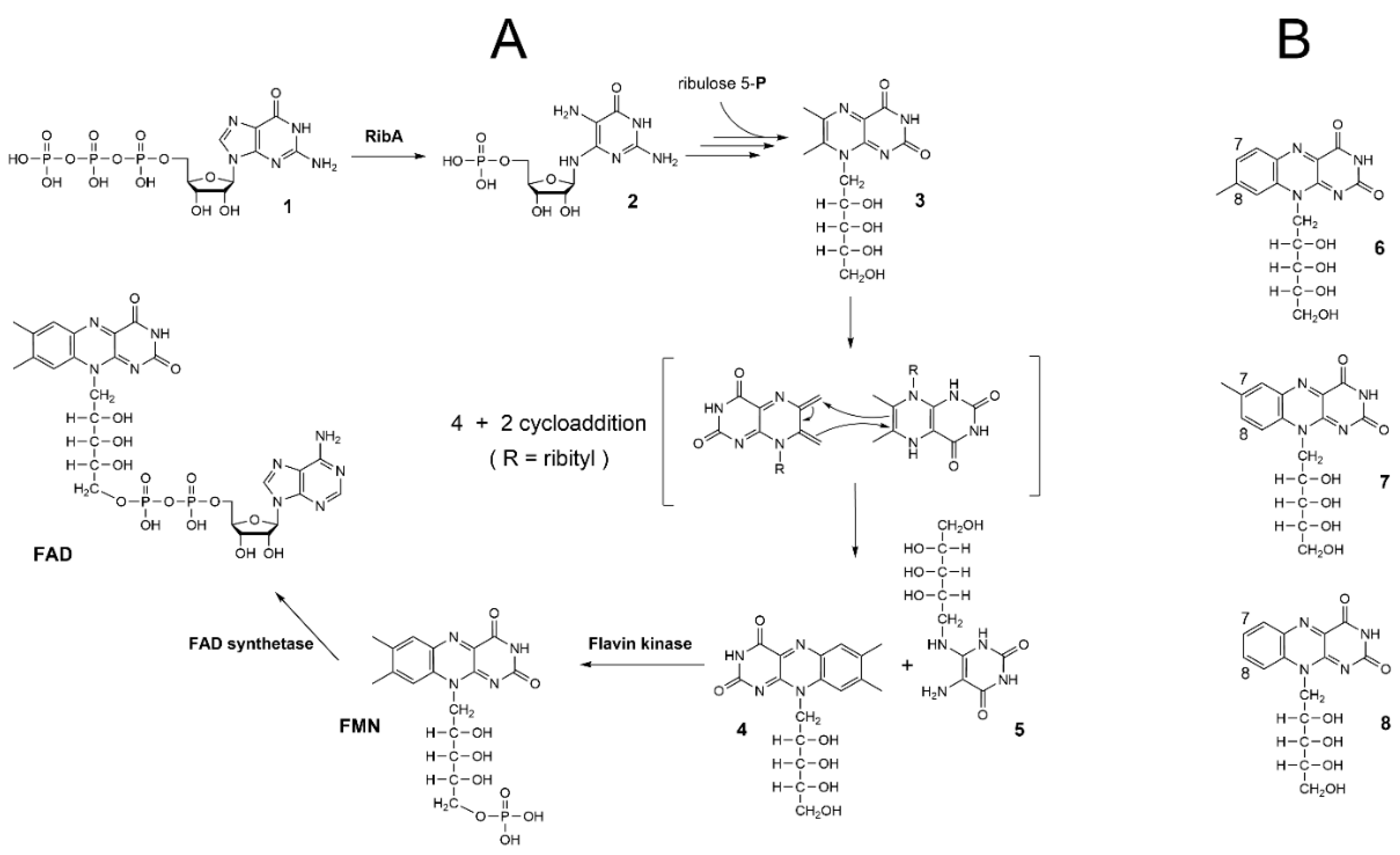 Molecules 29 05891 g001