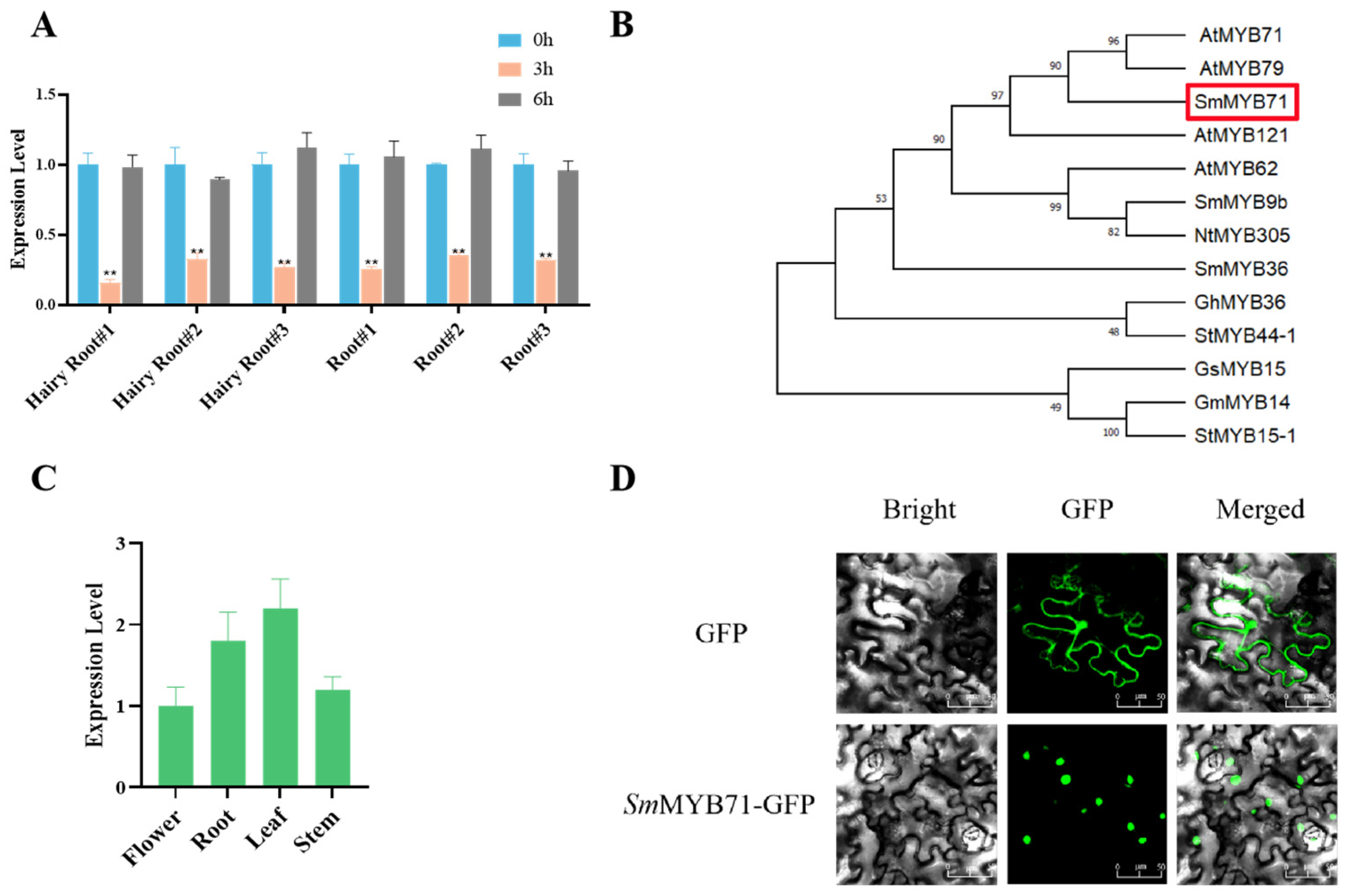 Molecules 29 05892 g002