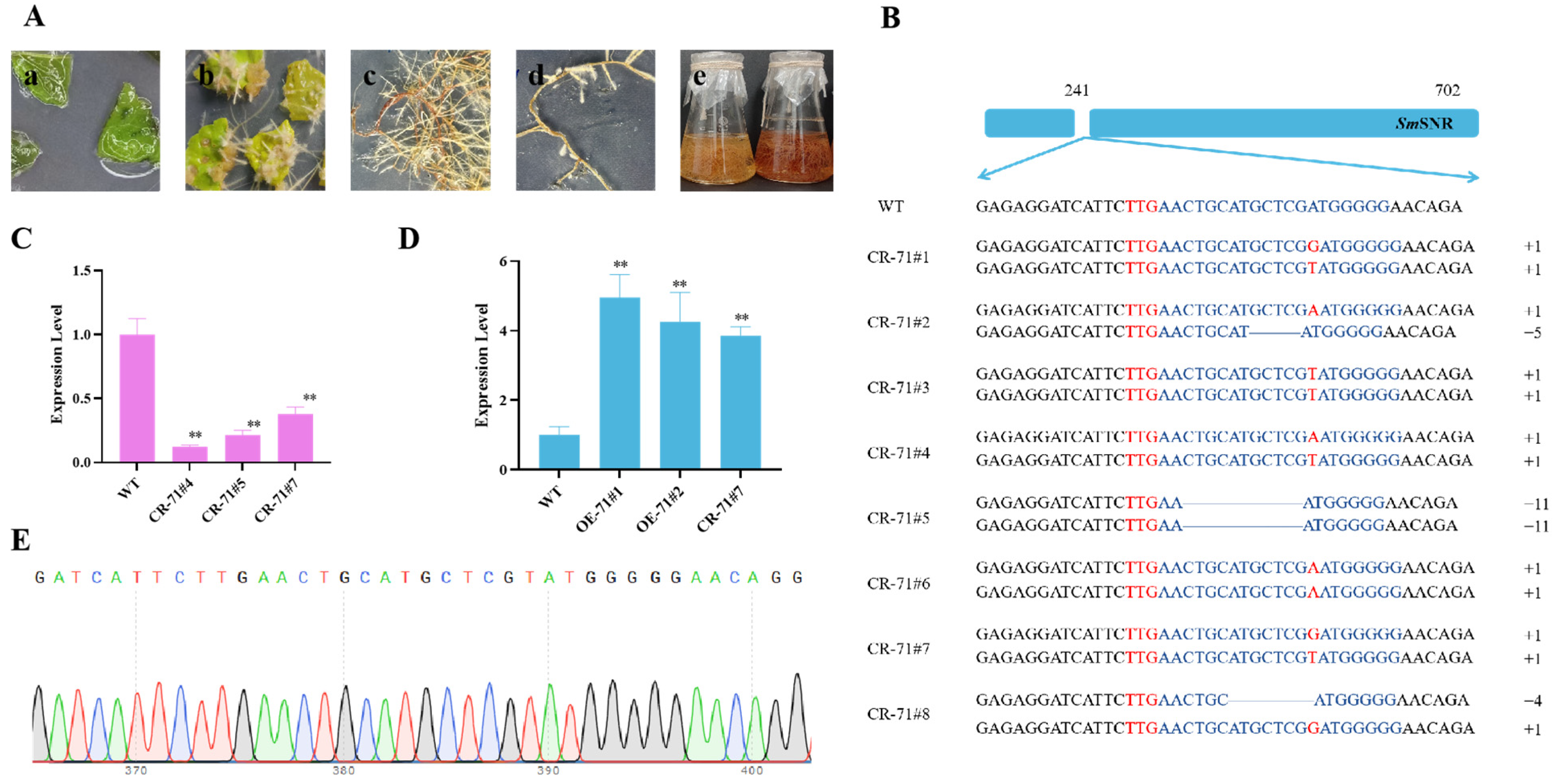 Molecules 29 05892 g003