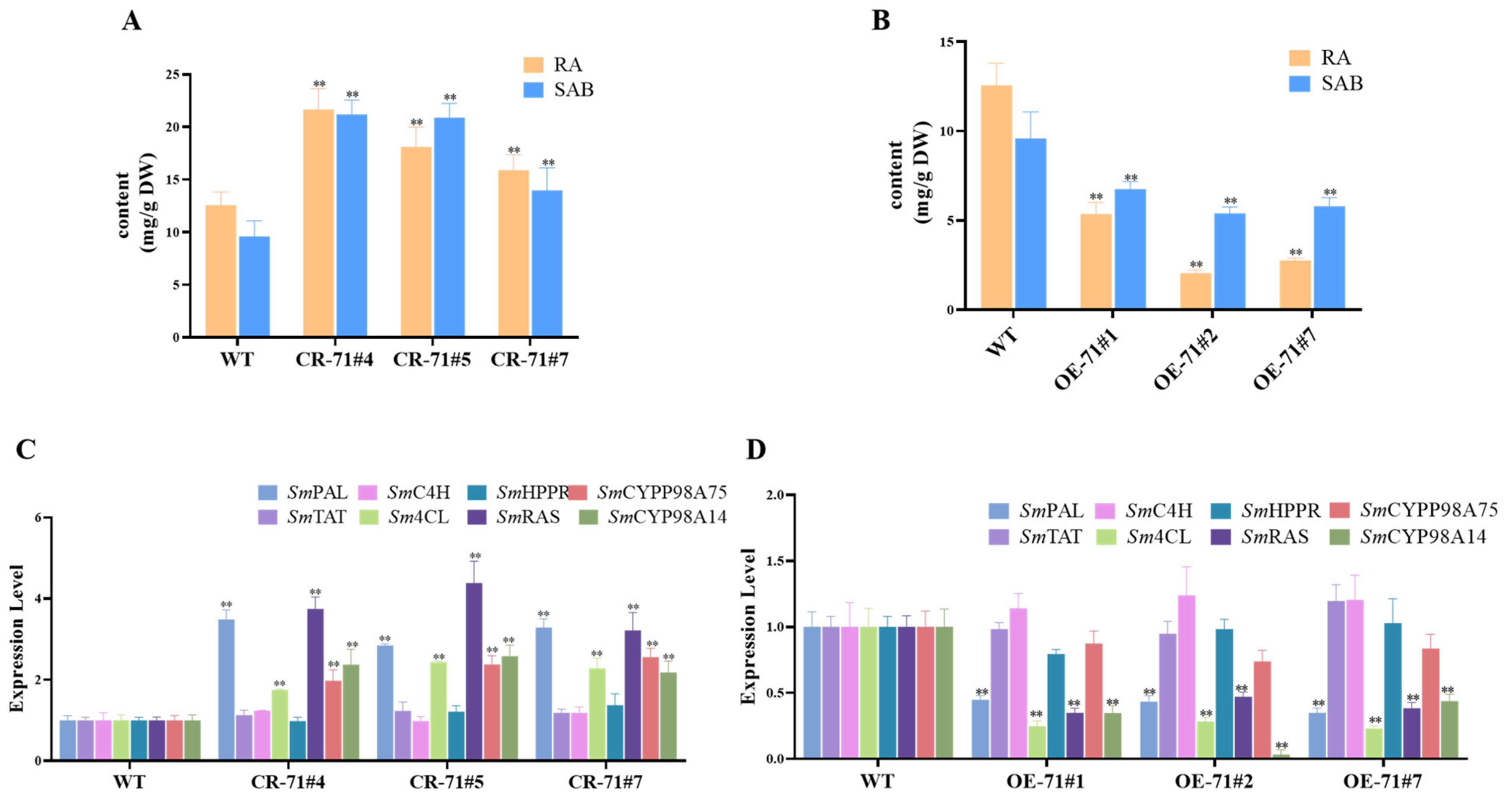 Molecules 29 05892 g004