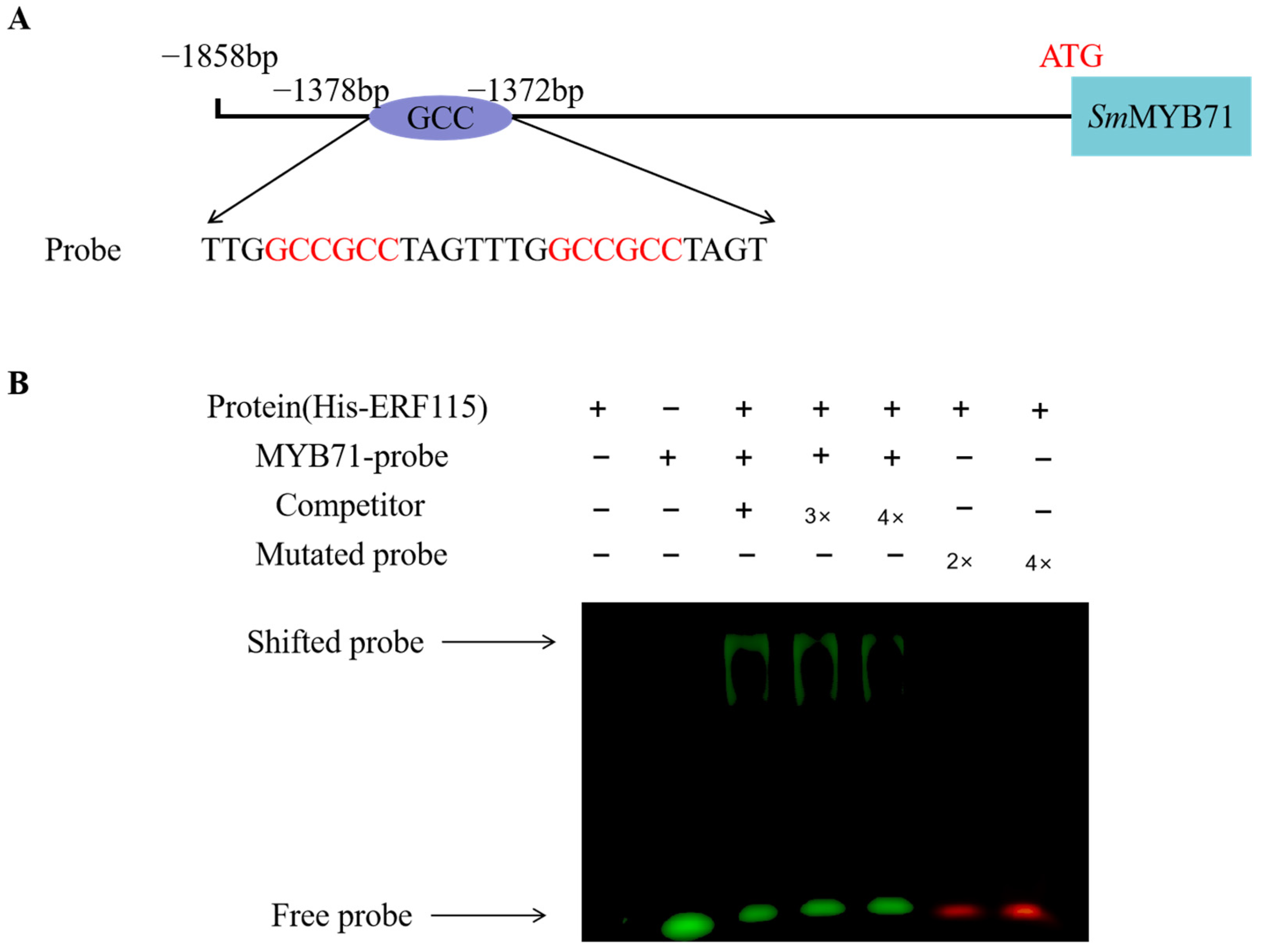 Molecules 29 05892 g005