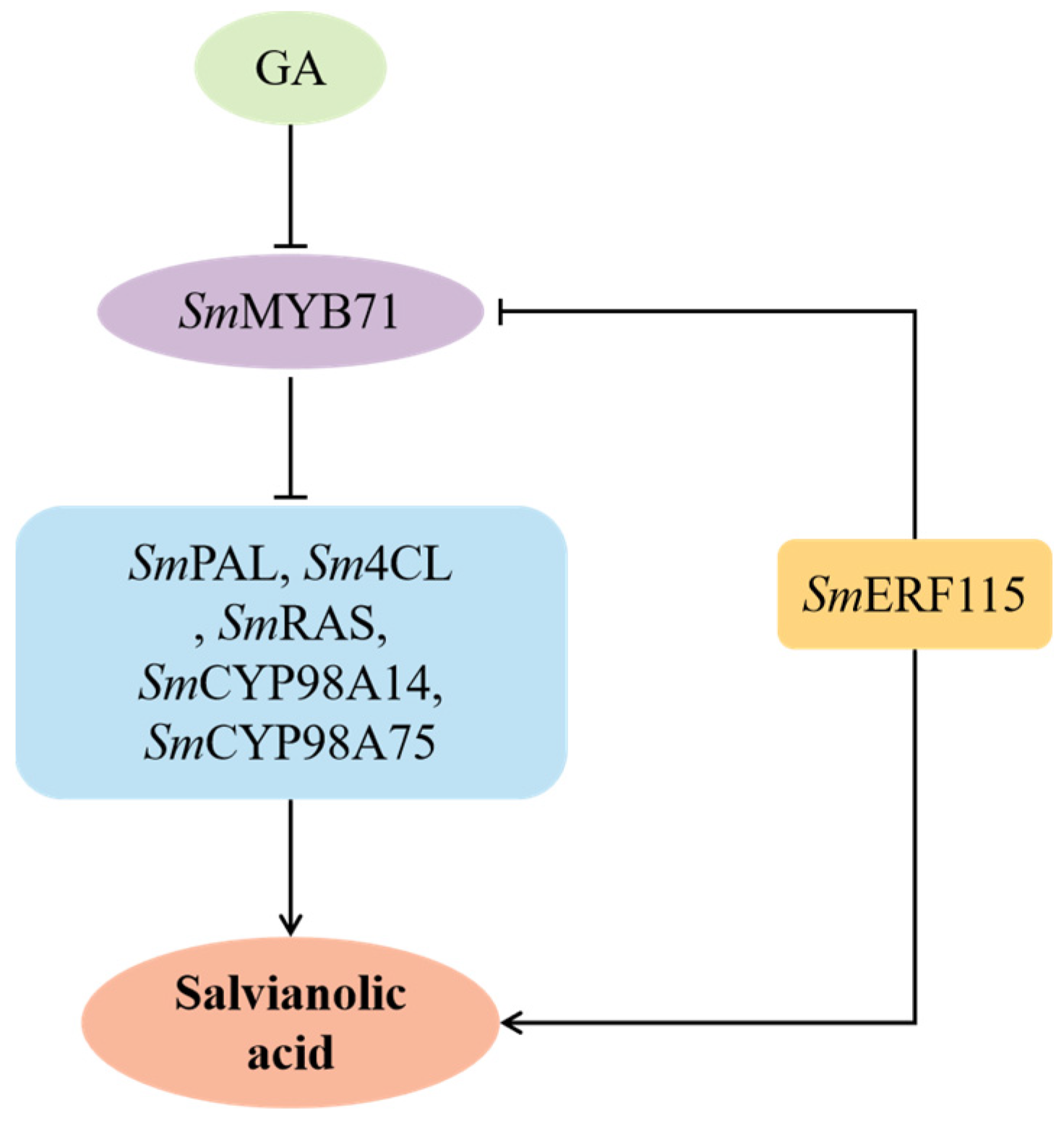 Molecules 29 05892 g006