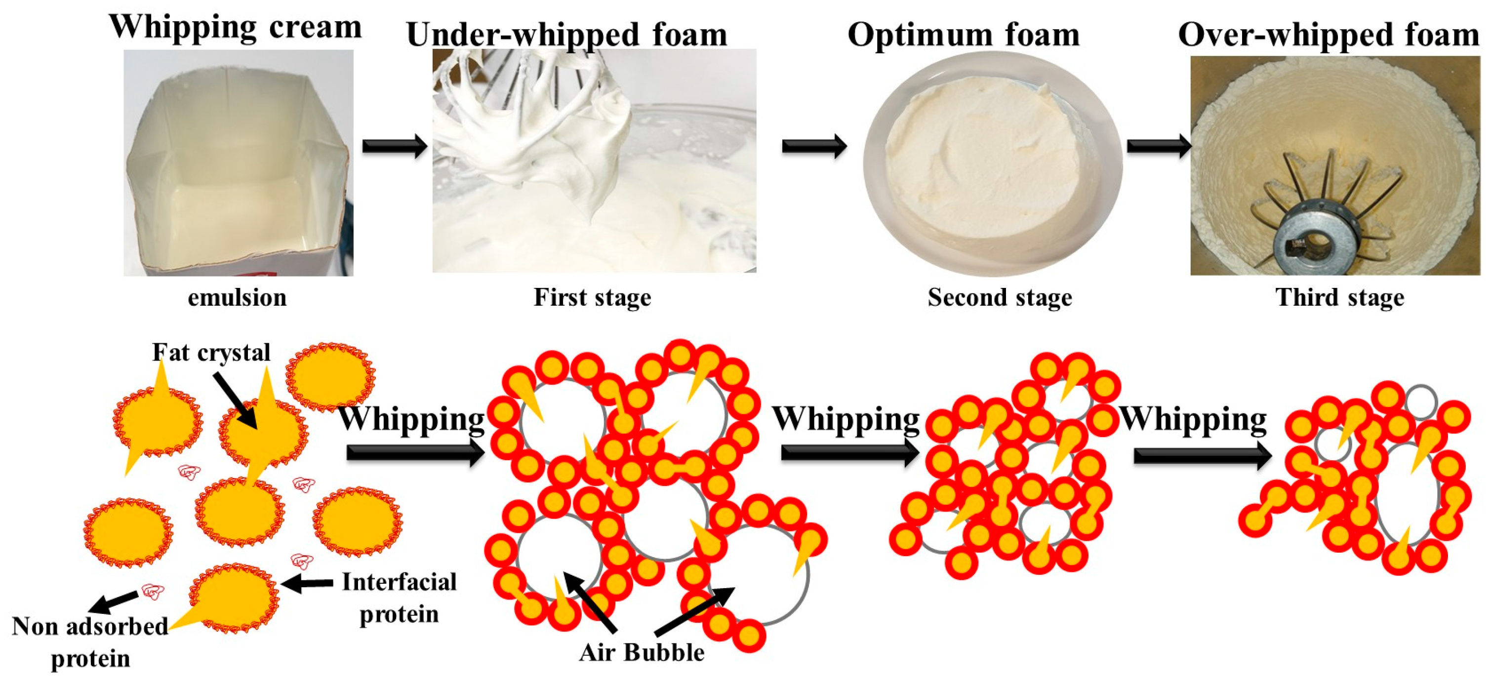 Molecules 29 05933 g001