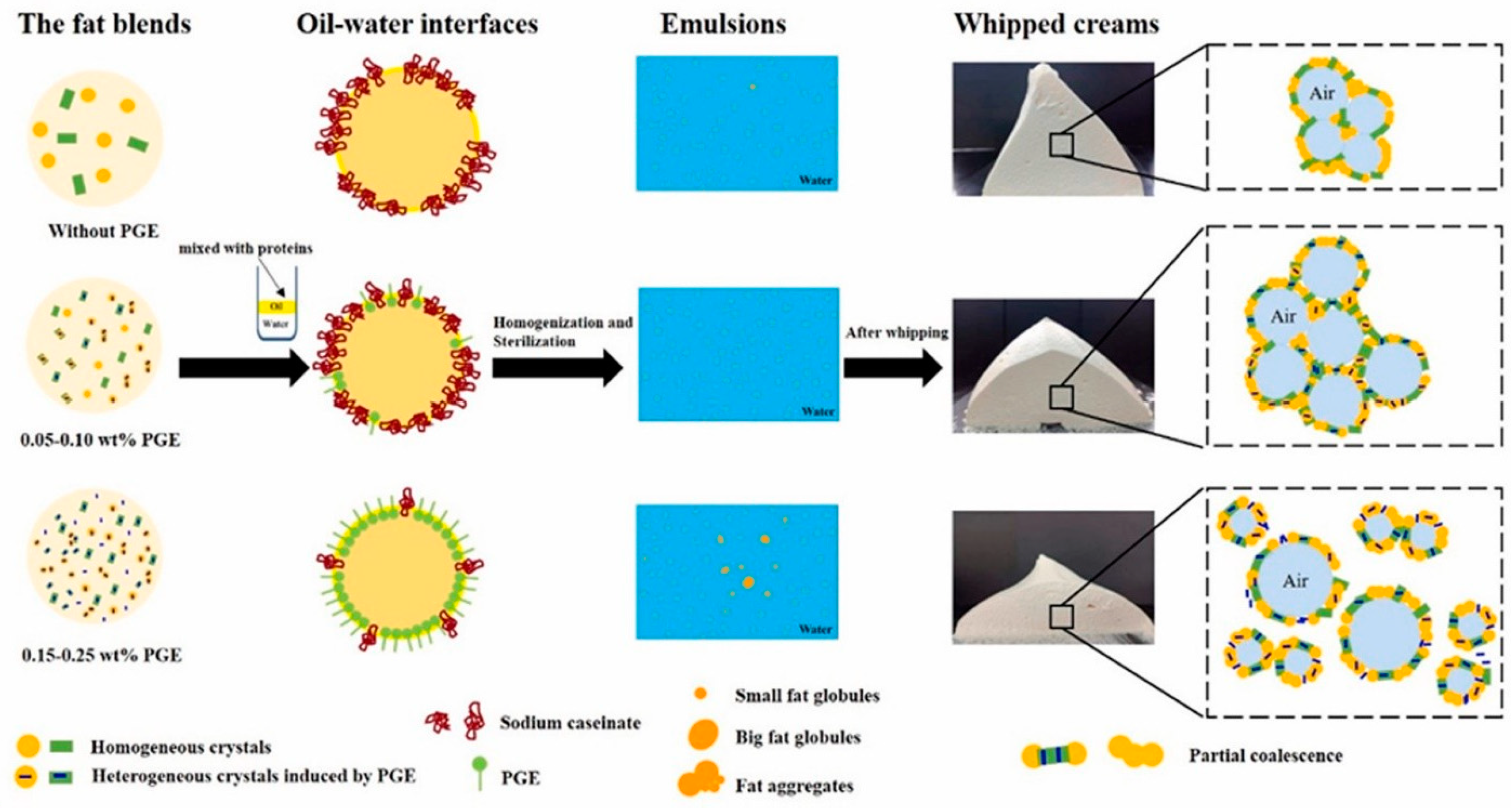 Molecules 29 05933 g002