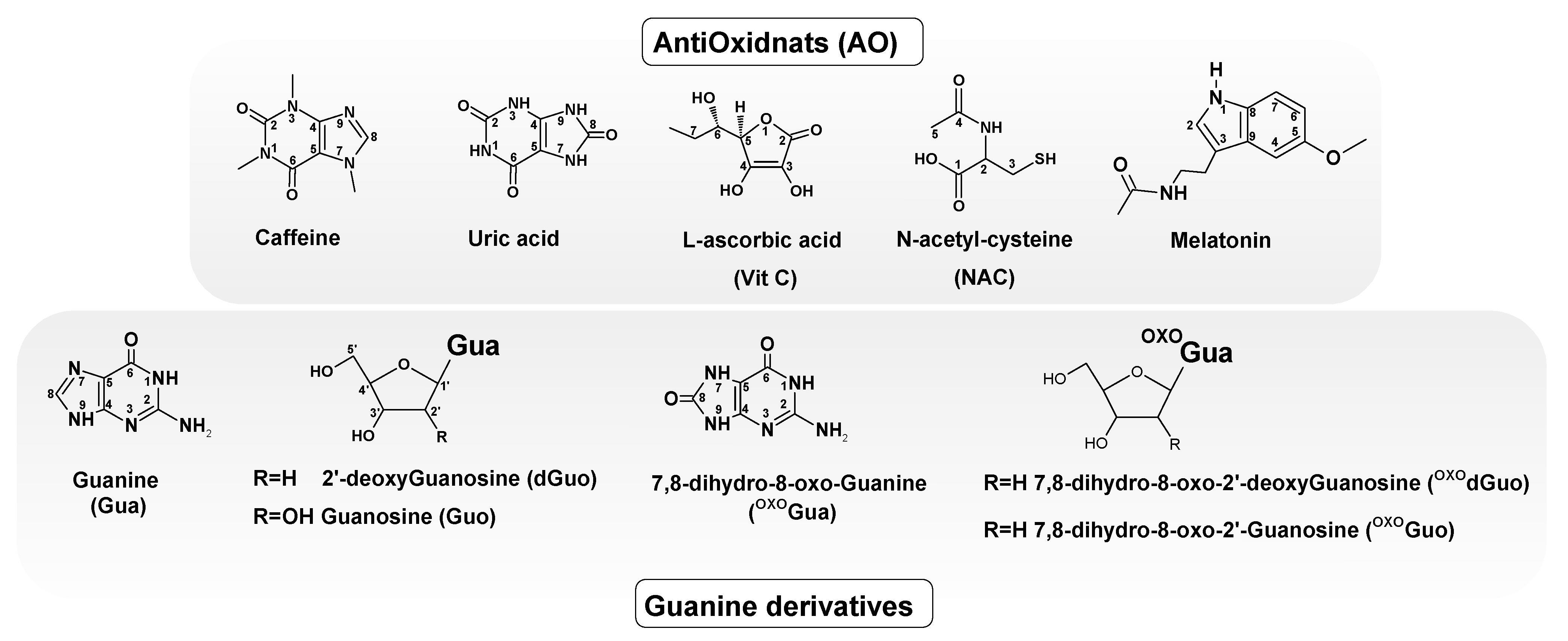 Molecules 29 05944 g002