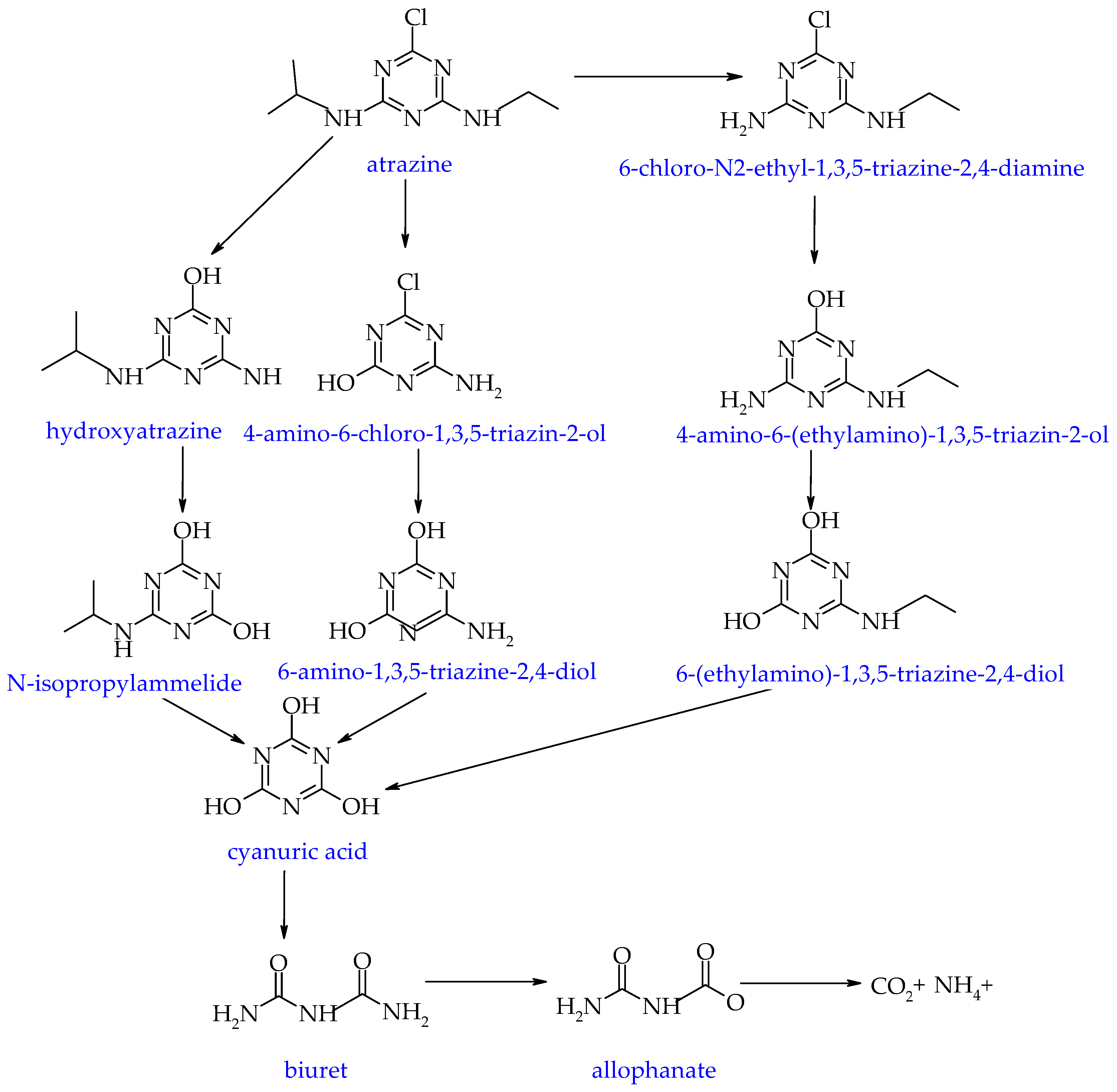 Molecules 29 05965 g004 Molecules 29 05965 g004